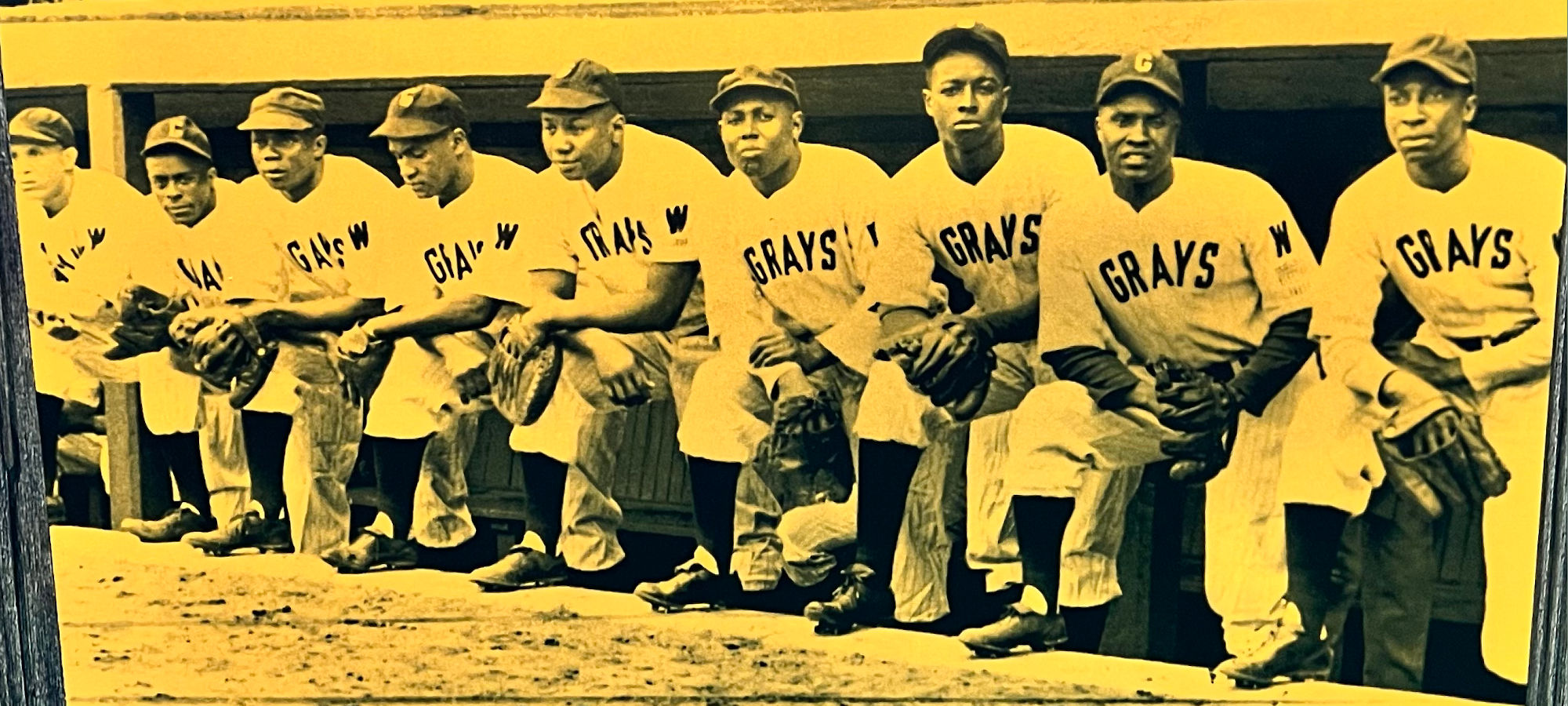 Negro Leagues Washington Homestead Grays