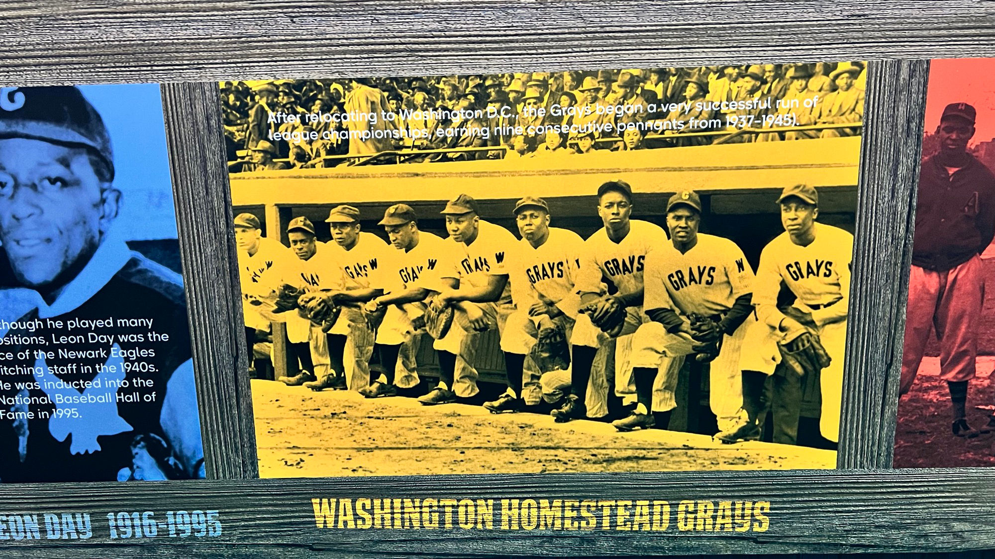 Negro Leagues Washington Homestead Grays