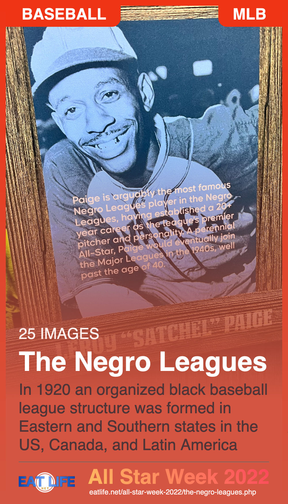 The Negro Leagues