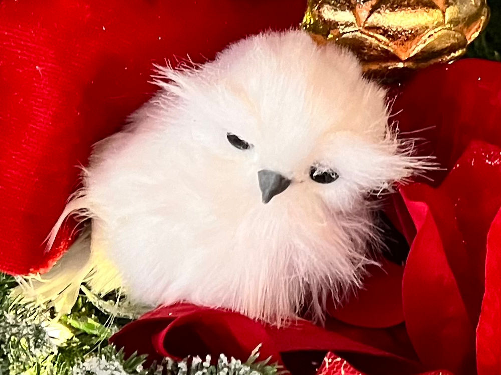 Bird Christmas Ornament
