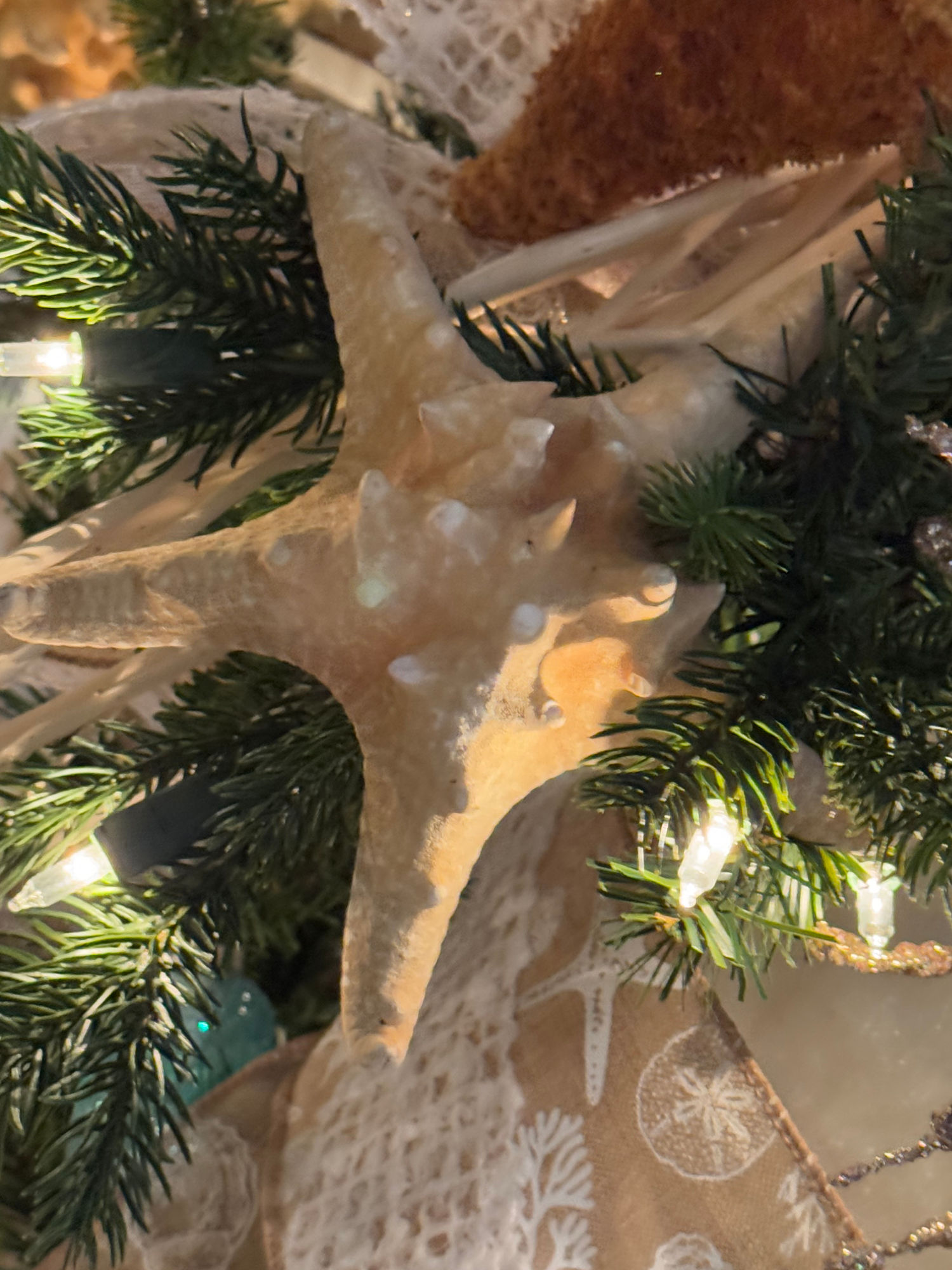 Starfish Christmas Ornament Grenada Starfish Christmas Ornament