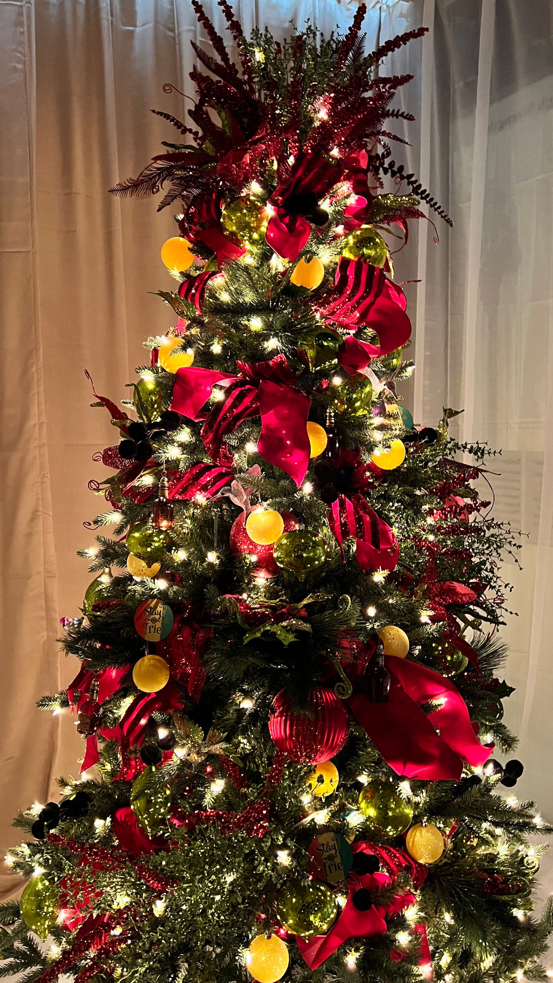 Jamaican Christmas Tree Jamaican Christmas Tree