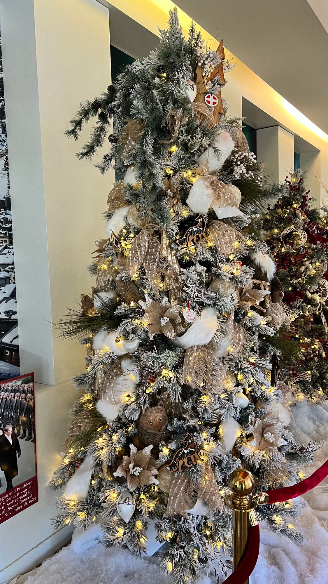 Switzerland Christmas Tree