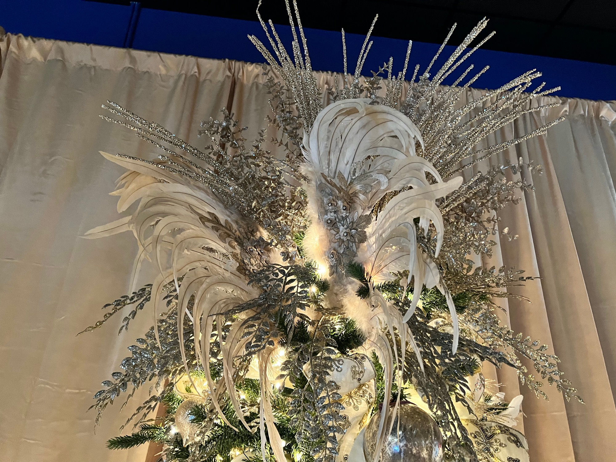 Vatican Christmas Tree Top