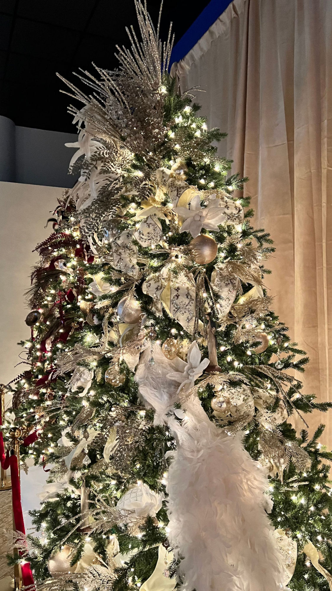 Vatican Christmas Tree Vatican Christmas Tree