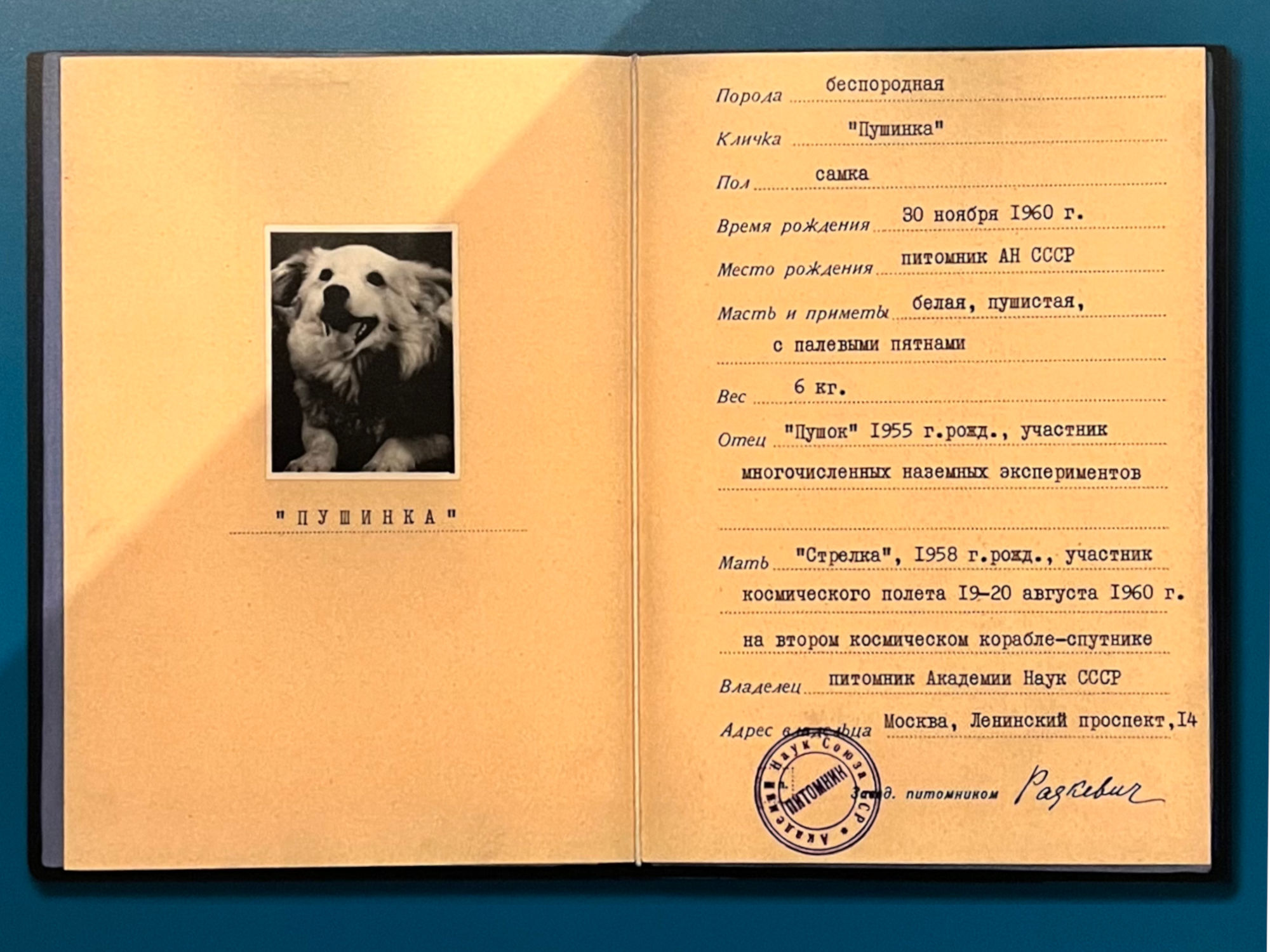 Kennedy Pushinka Passport