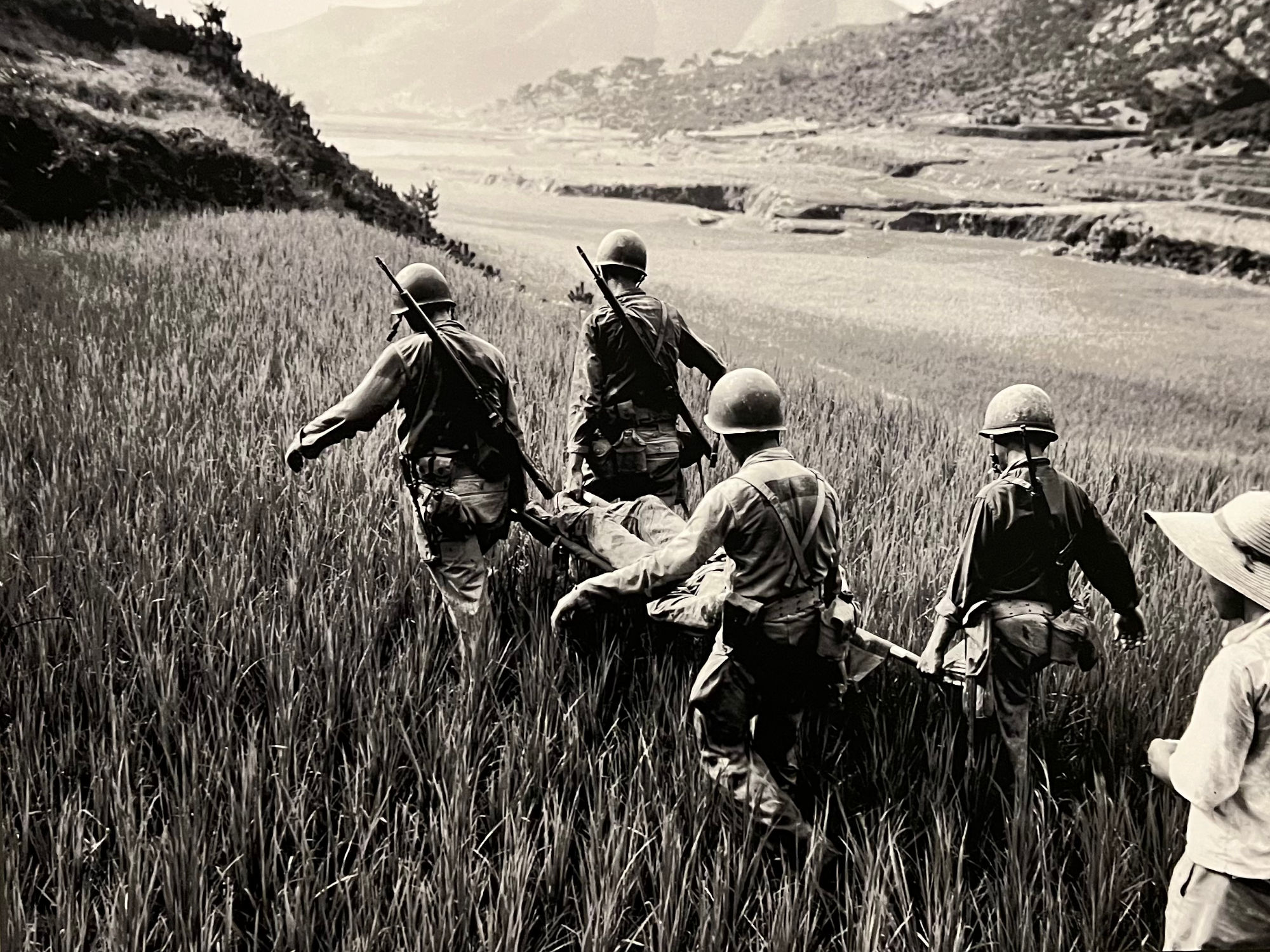 Korean War Rice Field Korean War Rice Field