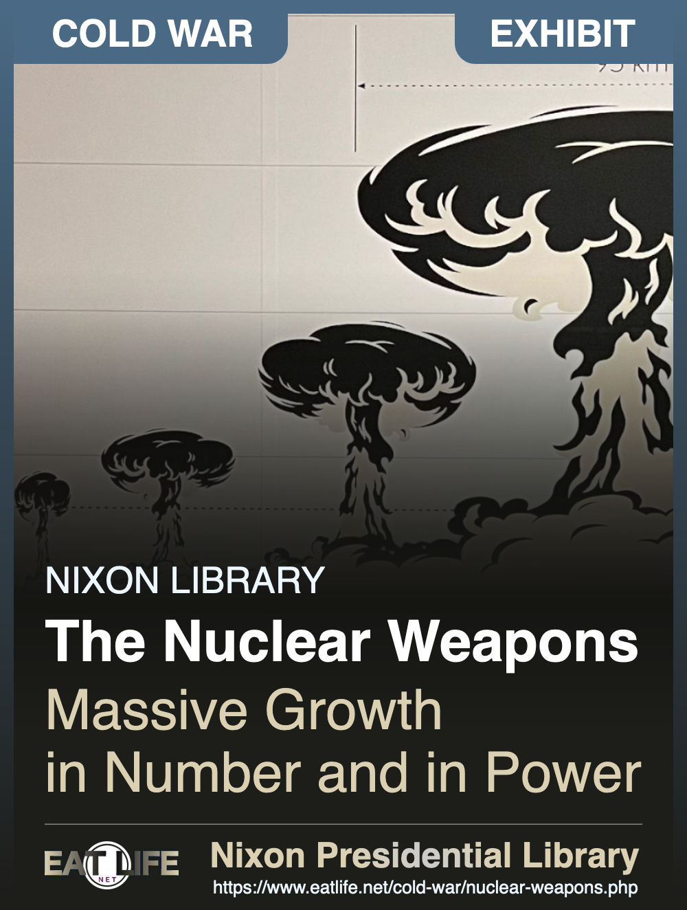 The Nuclear Weapons