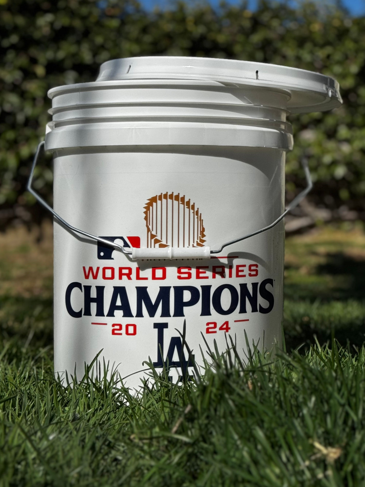2024 Home Depot Dodger Bucket