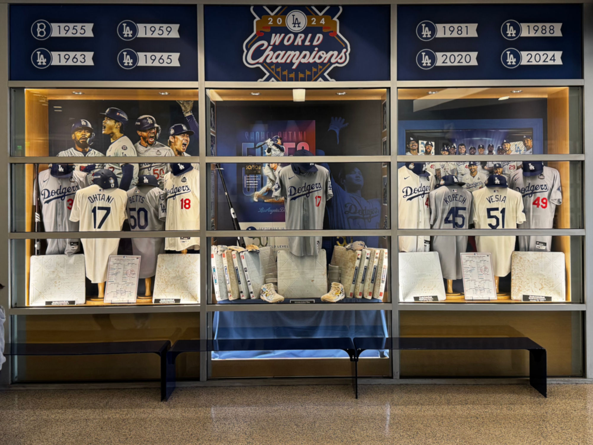 Display 2024 World Champions Display