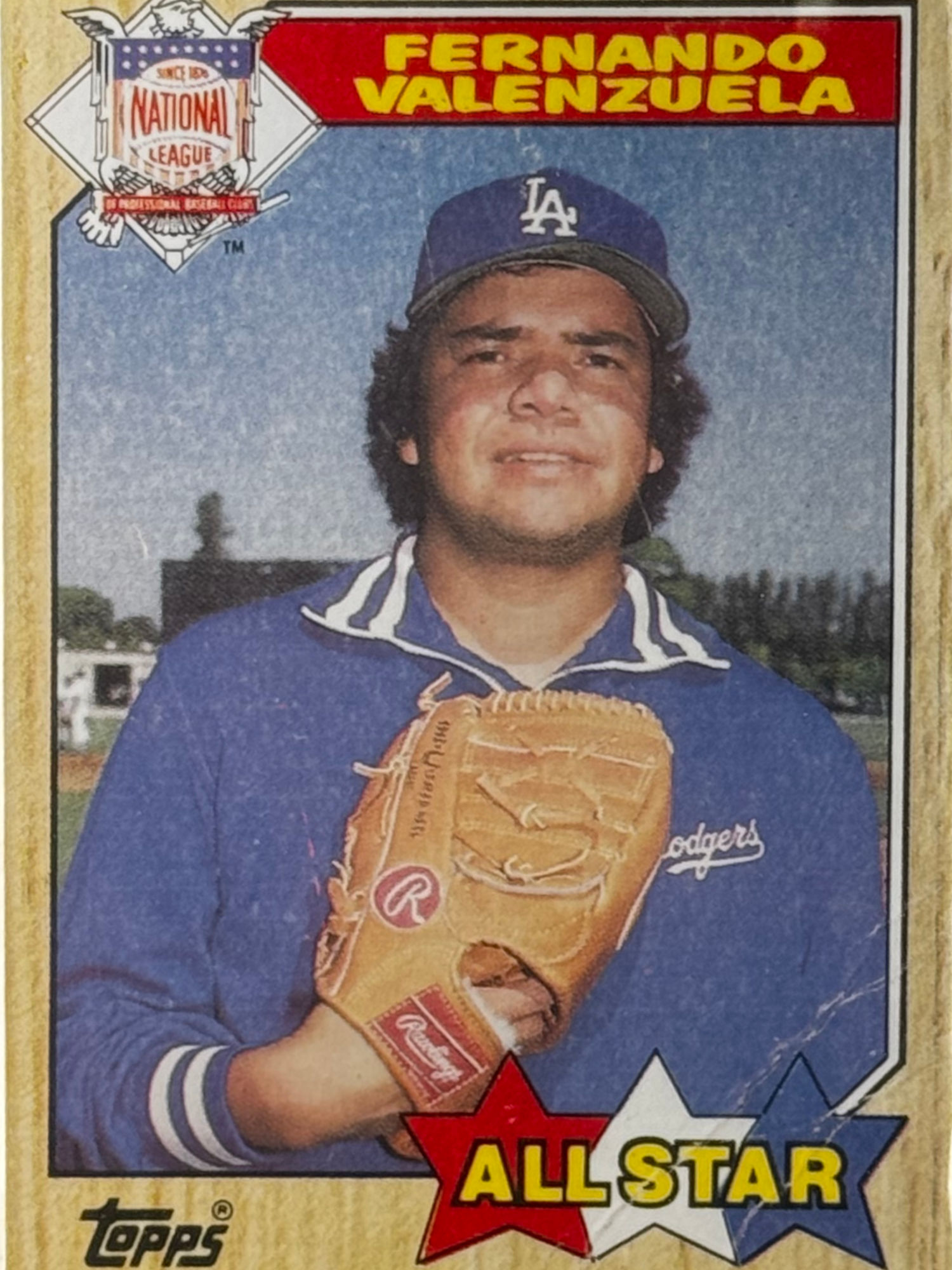 Fernando Valenzuela's Baseball Card Fernando Valenzuela's Baseball Card