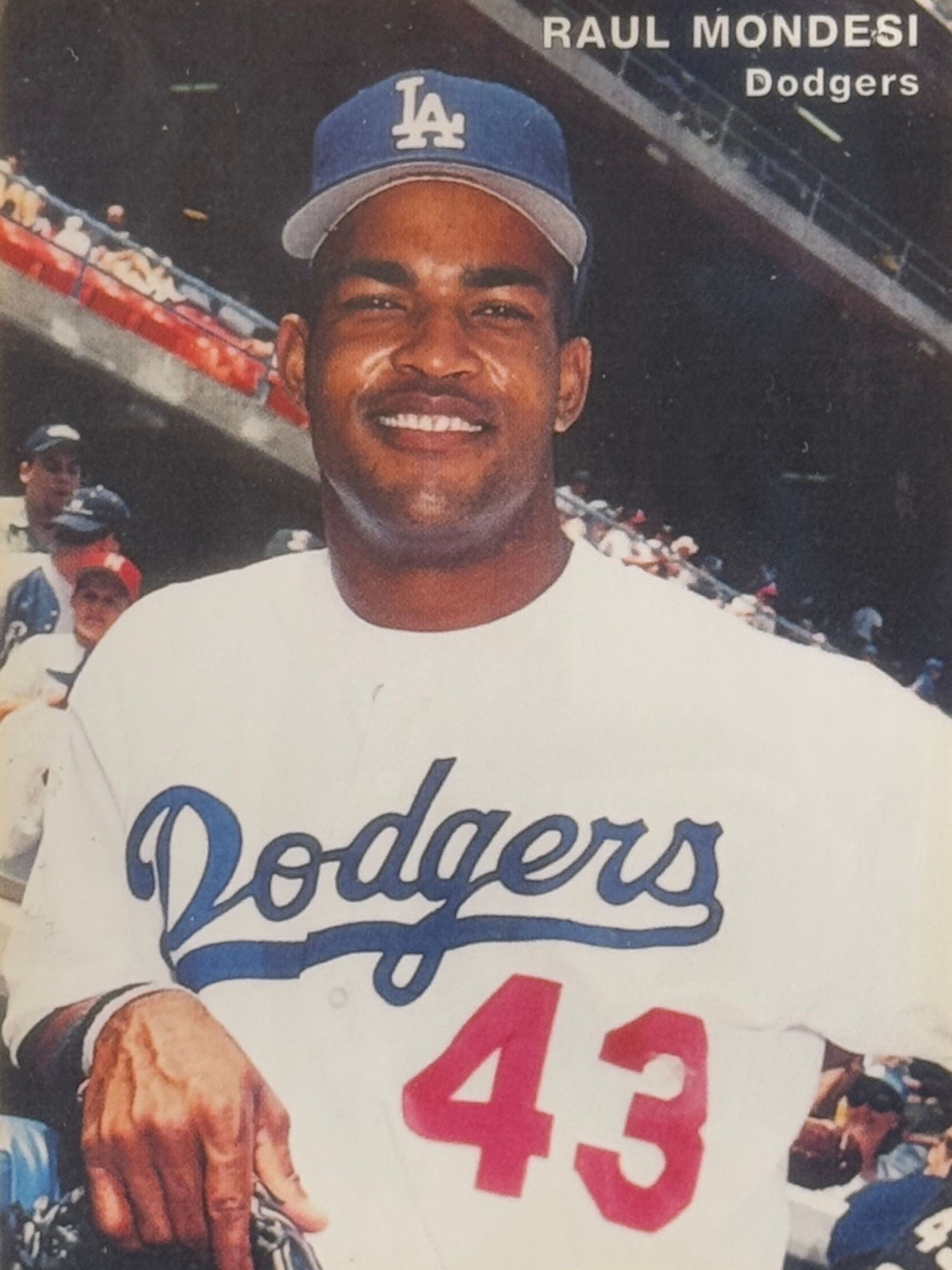 Raul Mondesi's Baseball Card Raul Mondesi's Baseball Card