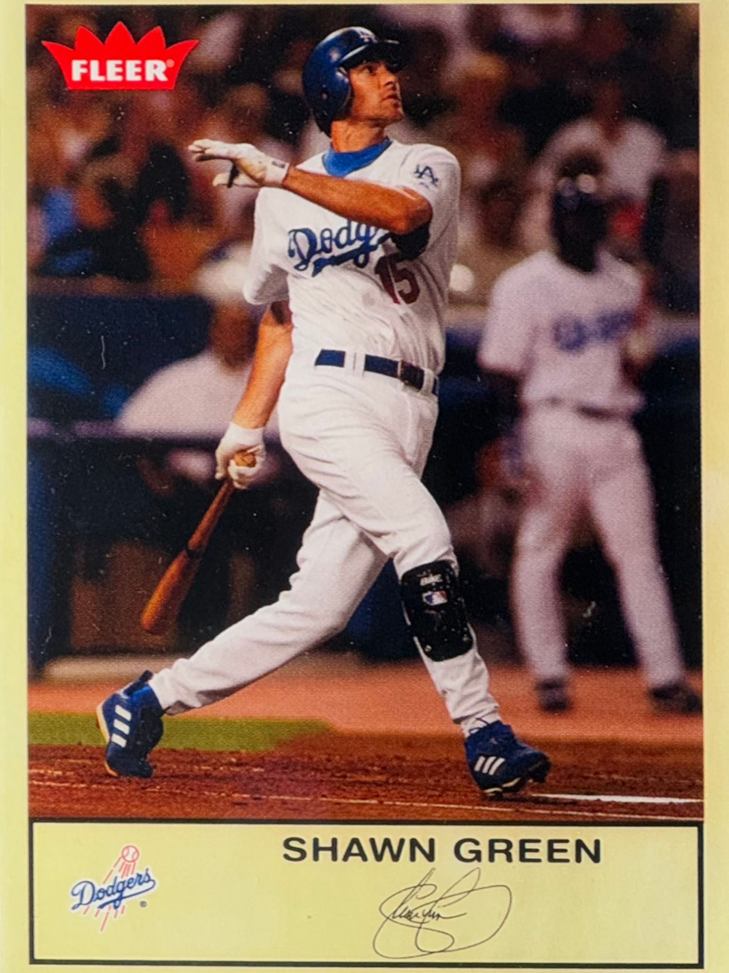 Shawn Green's Baseball Card Shawn Green's Baseball Card