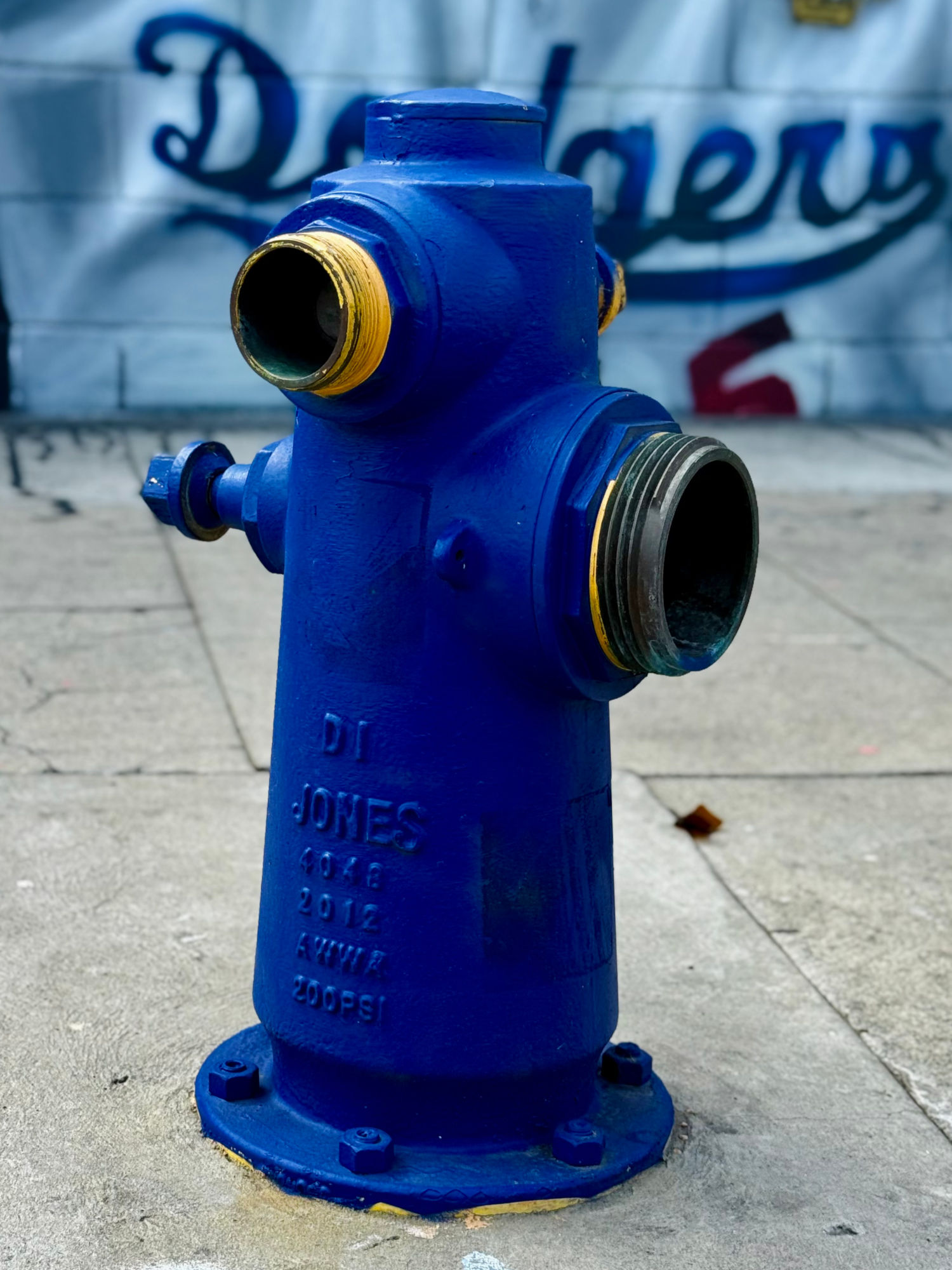 Blue Fire Hydrant Hooper Ave Dodger Mural