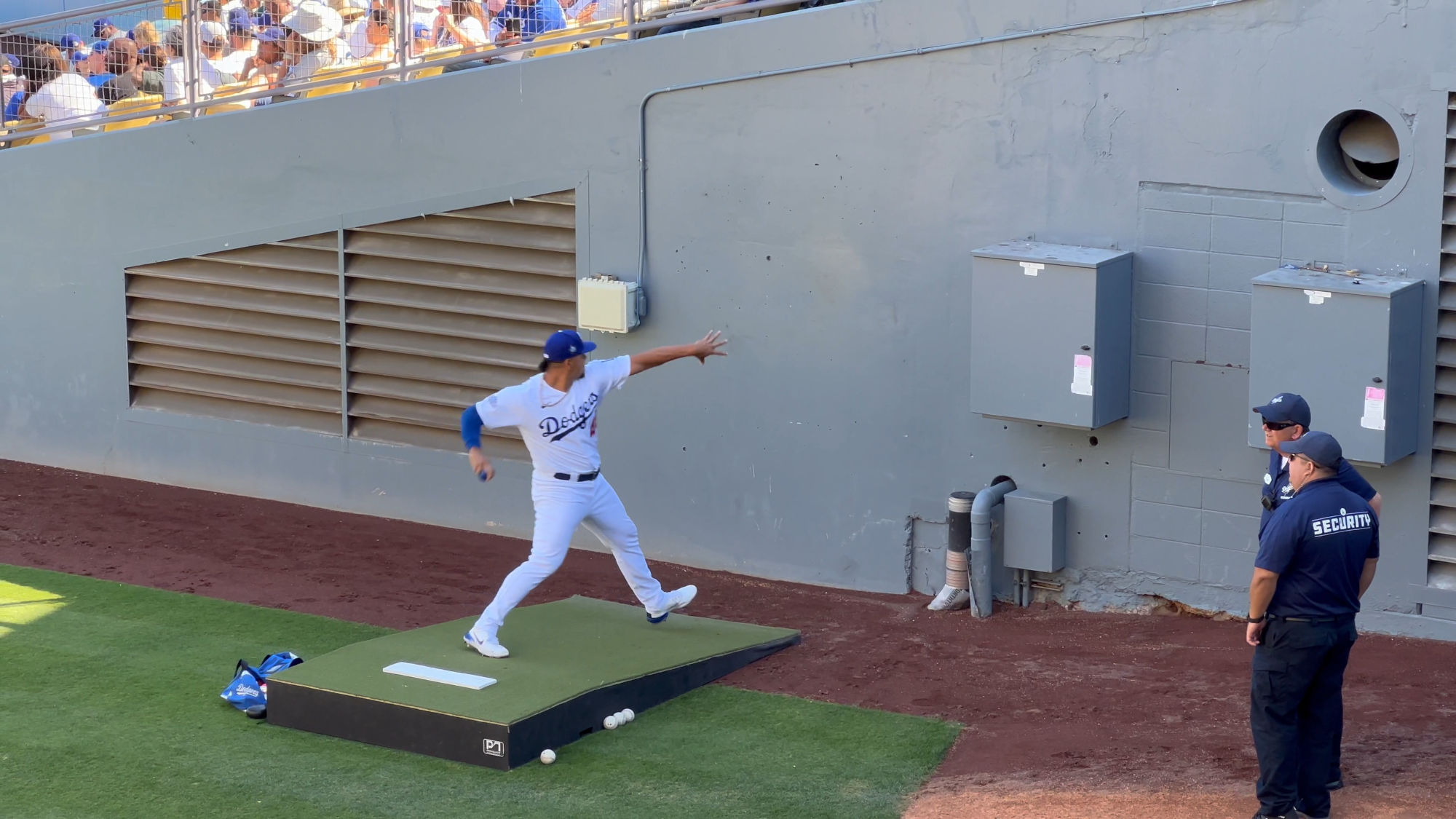 Graterol Bullpen Graterol