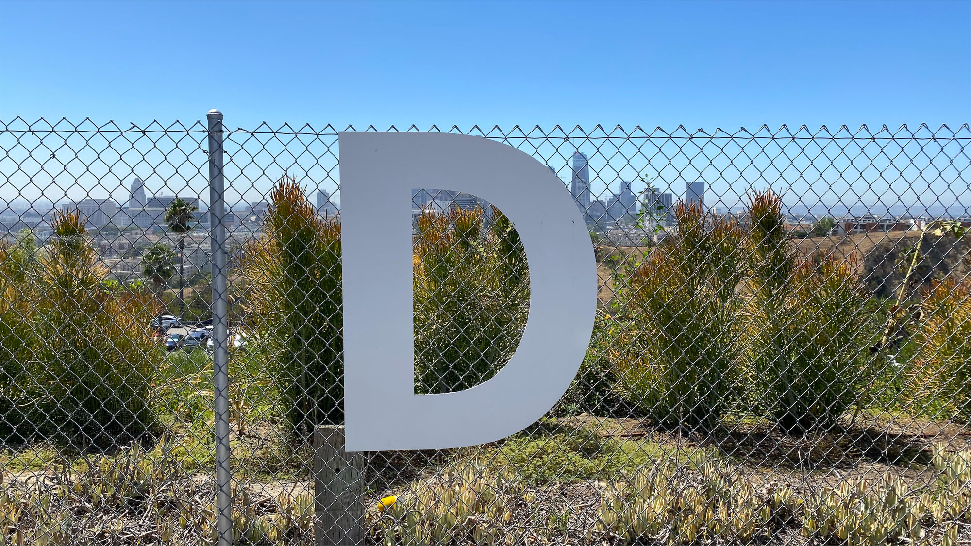D Dodger Letter D