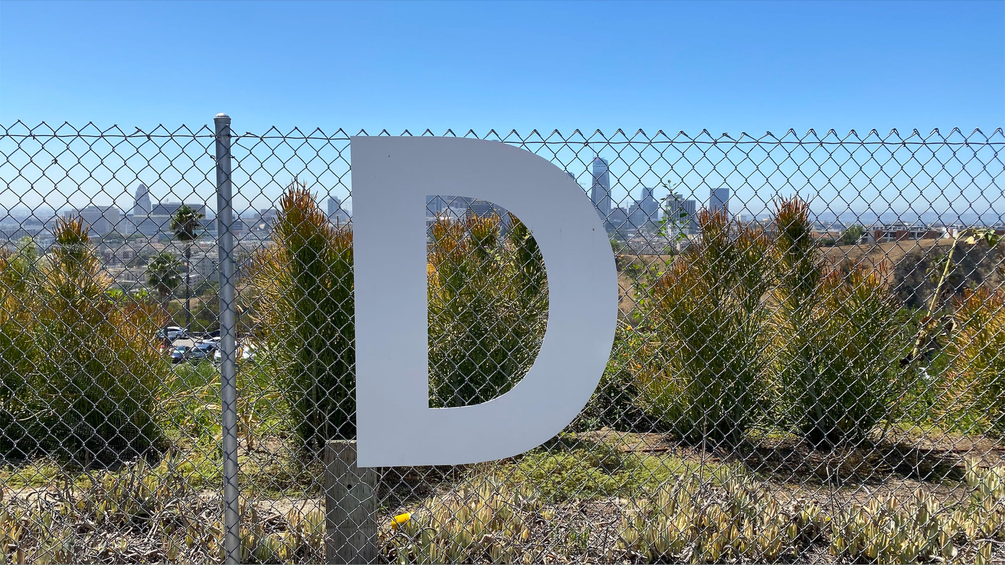 Dodger Letter D