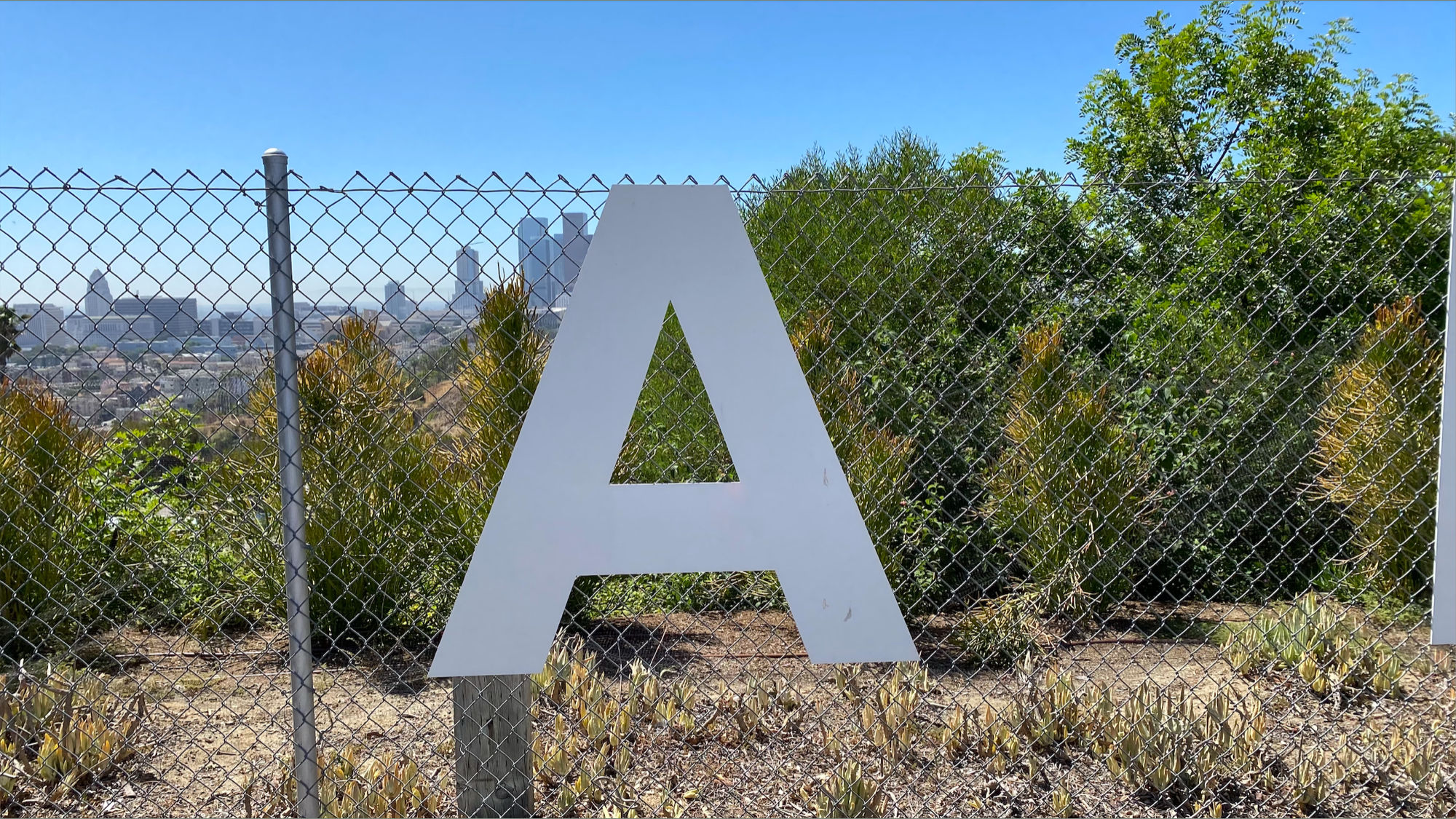 A Dodger Letters A