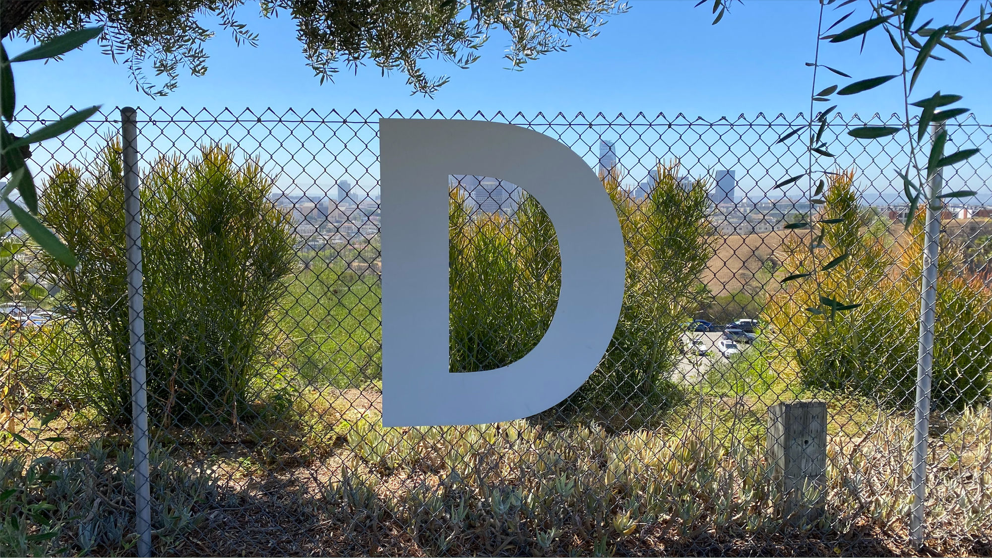 Dodger Letters D