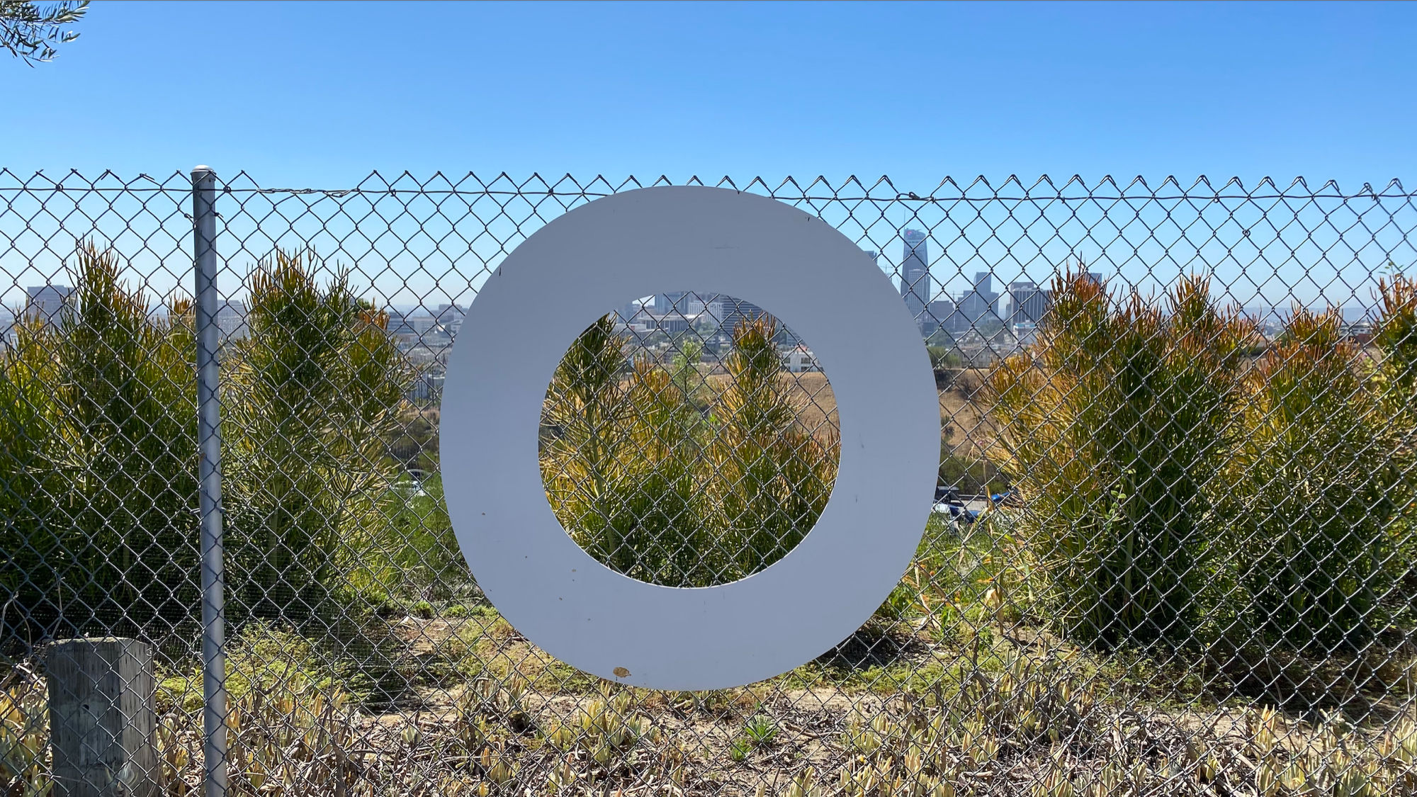 O Dodger Letters O