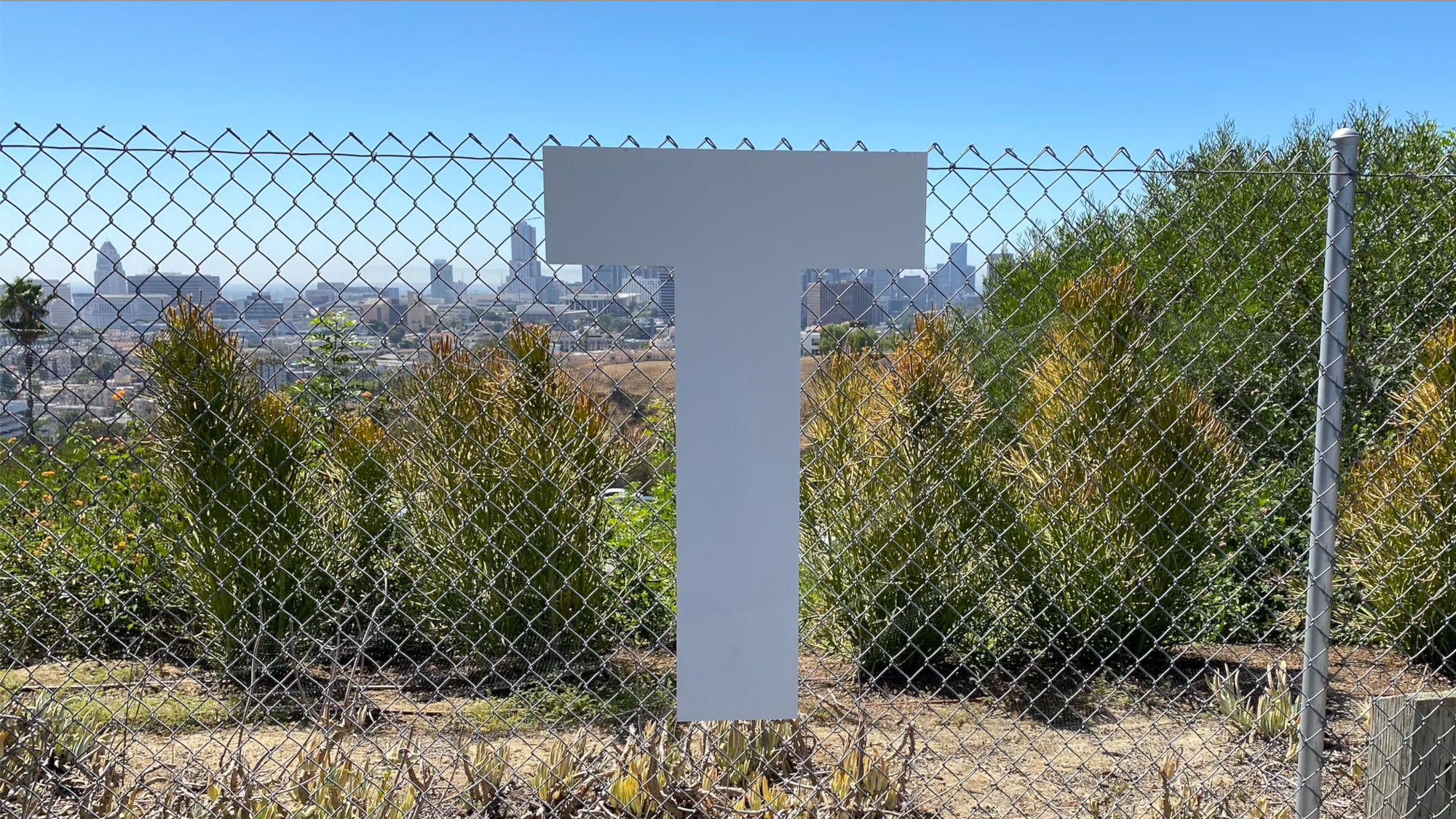 T Dodger Letters T