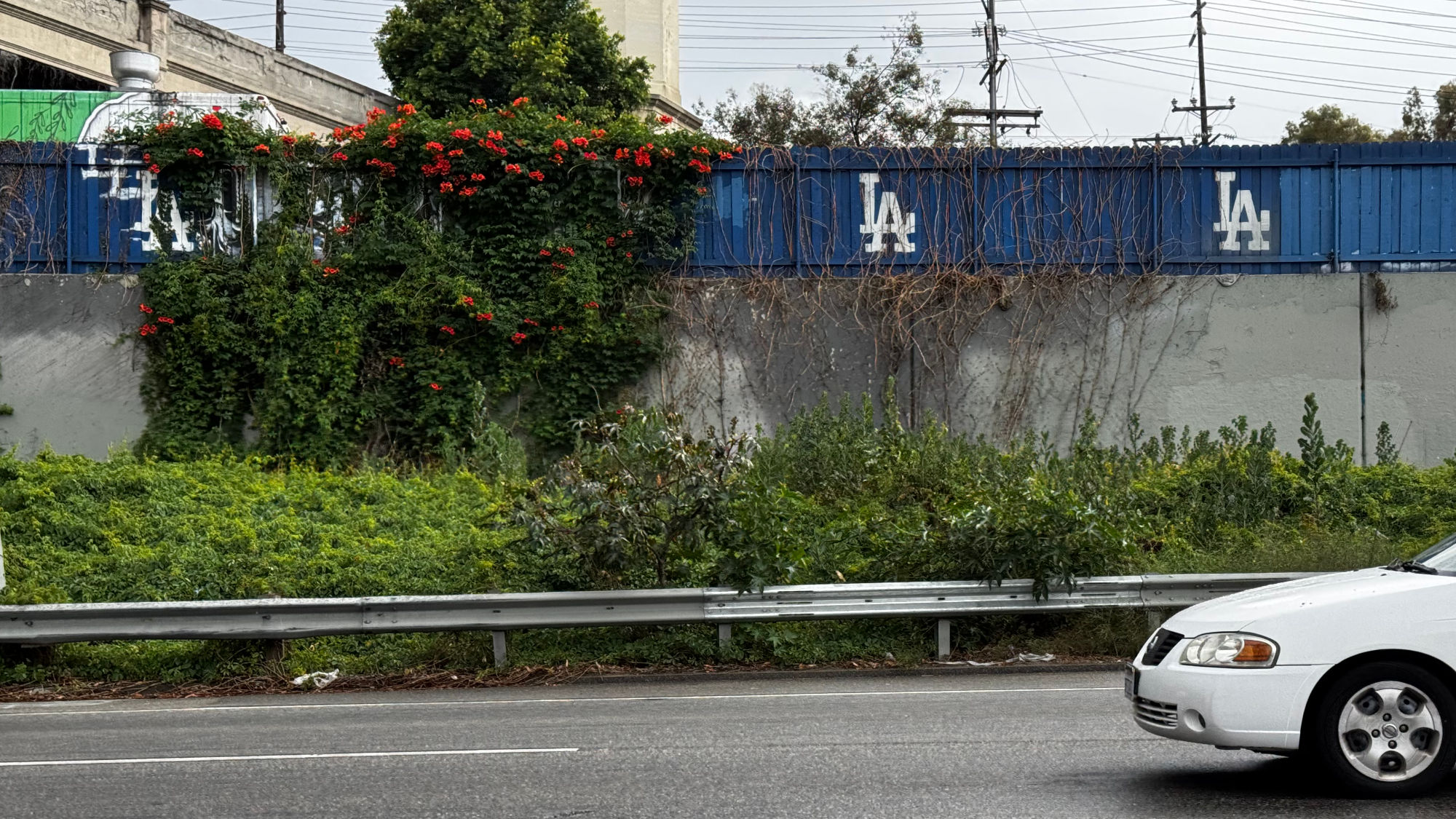 Dodger Mural The Dodger Fence