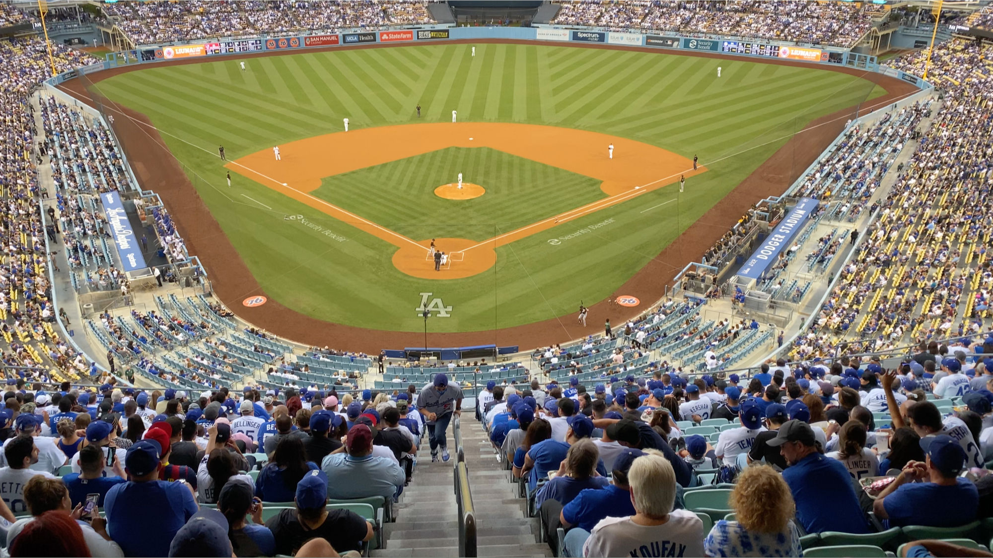 Dodger Stadium Grass