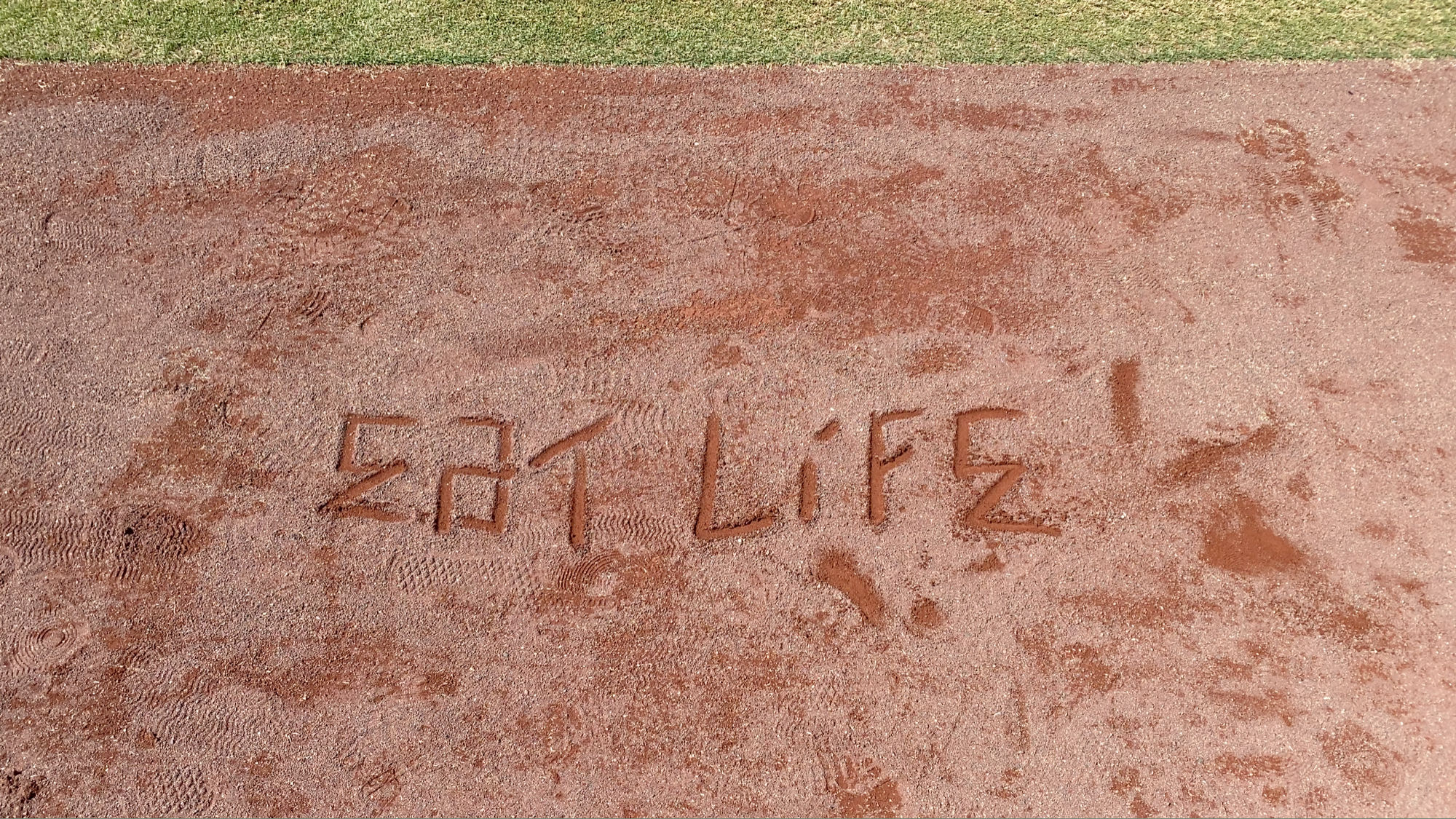 Dodger Stadium Warning Track Sand Eat Life