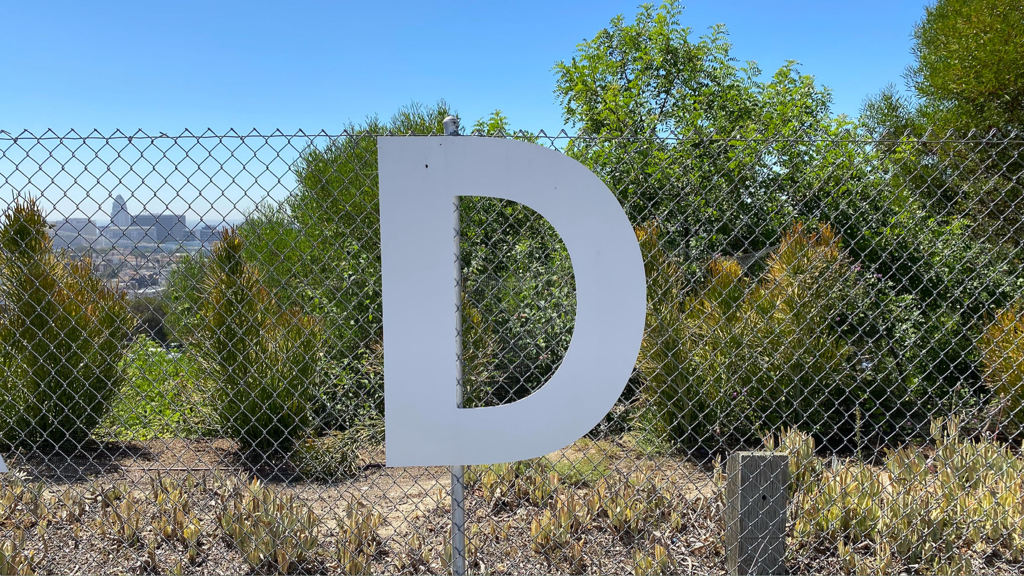 Dodger Letters D