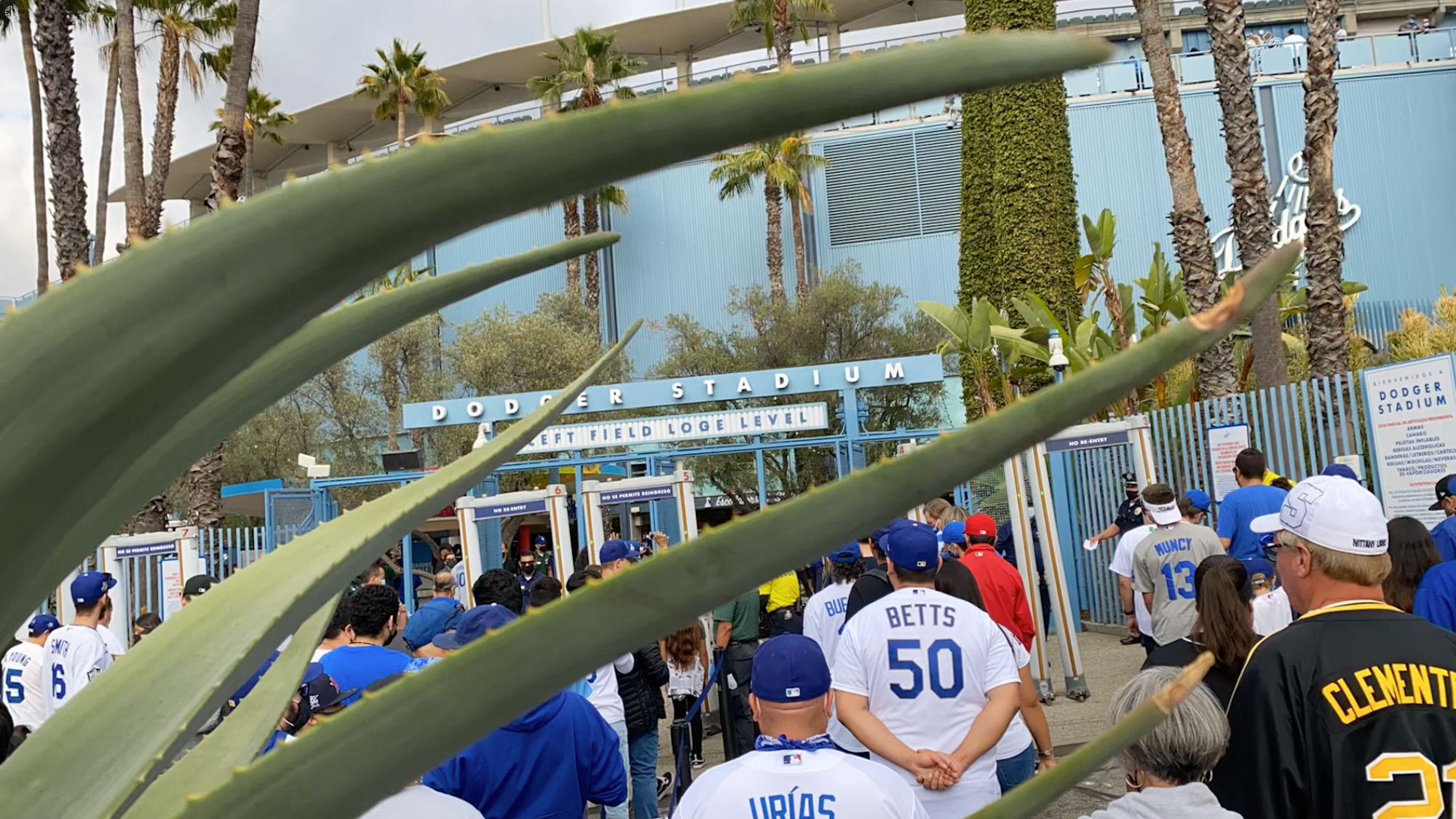 Left Field Loge Level