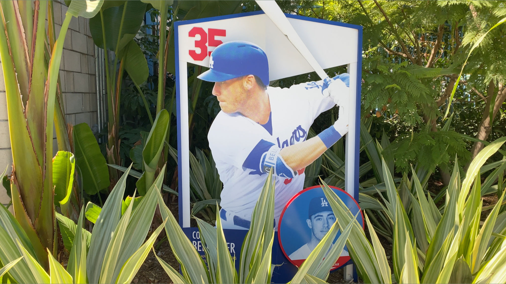 Cody Bellinger #35