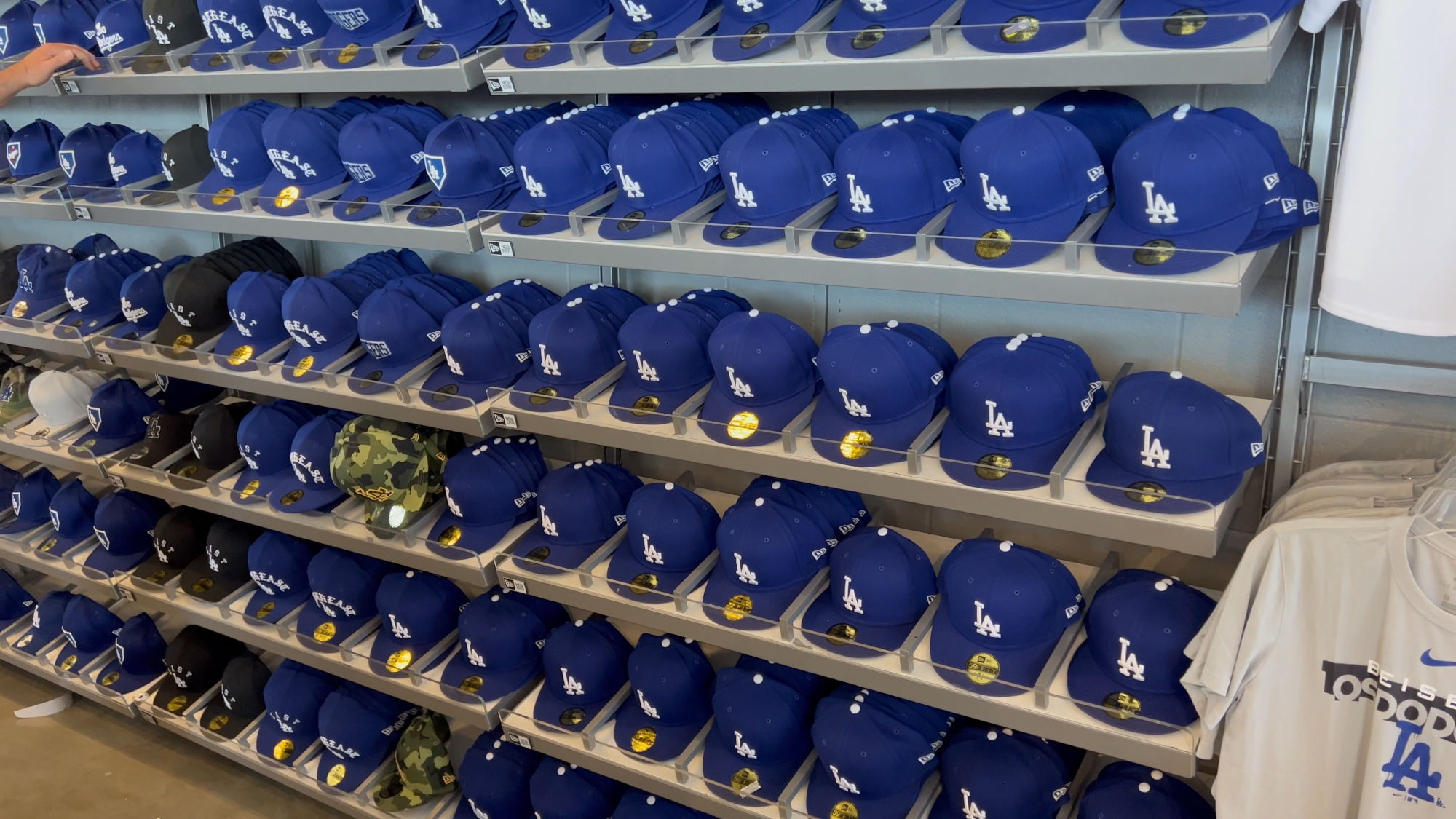 Official Team Store Dodger Hats