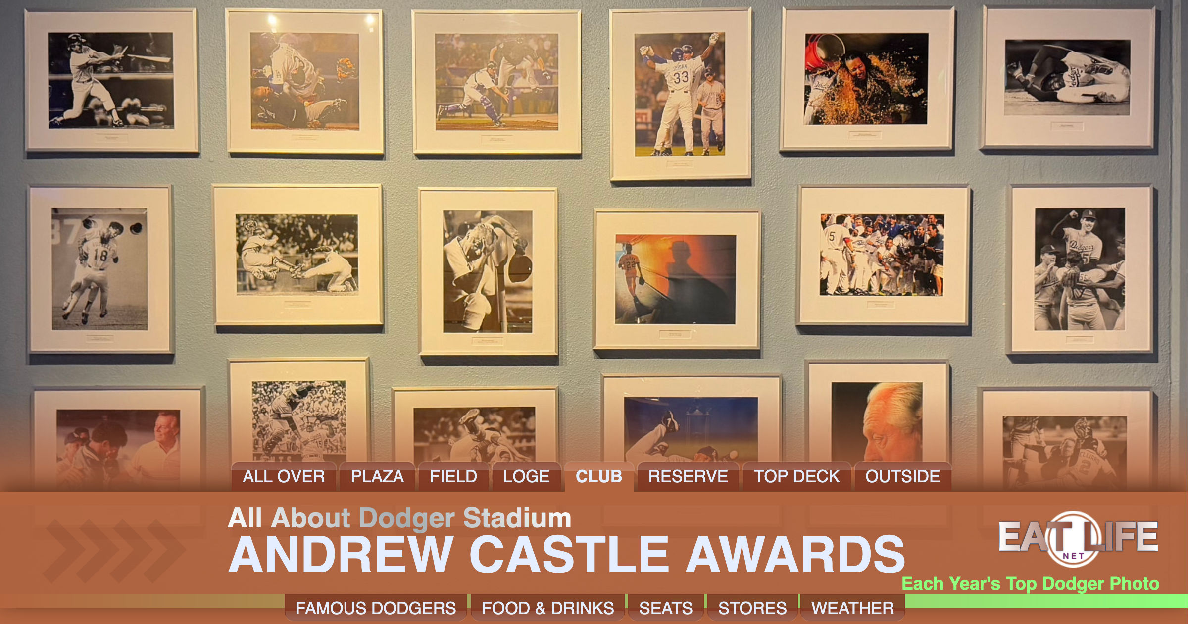 Andrew Castle Award