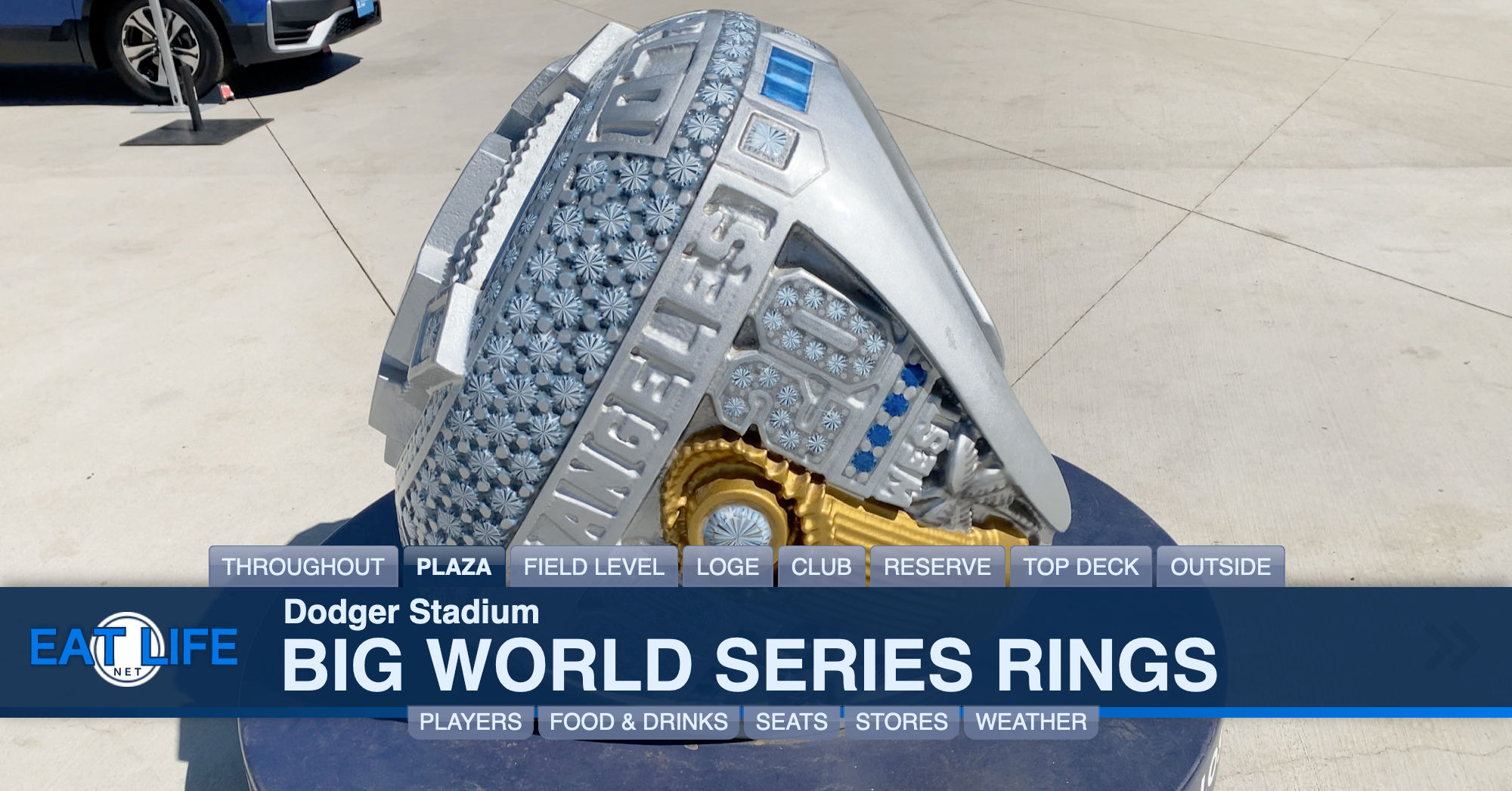 Big World Series Rings