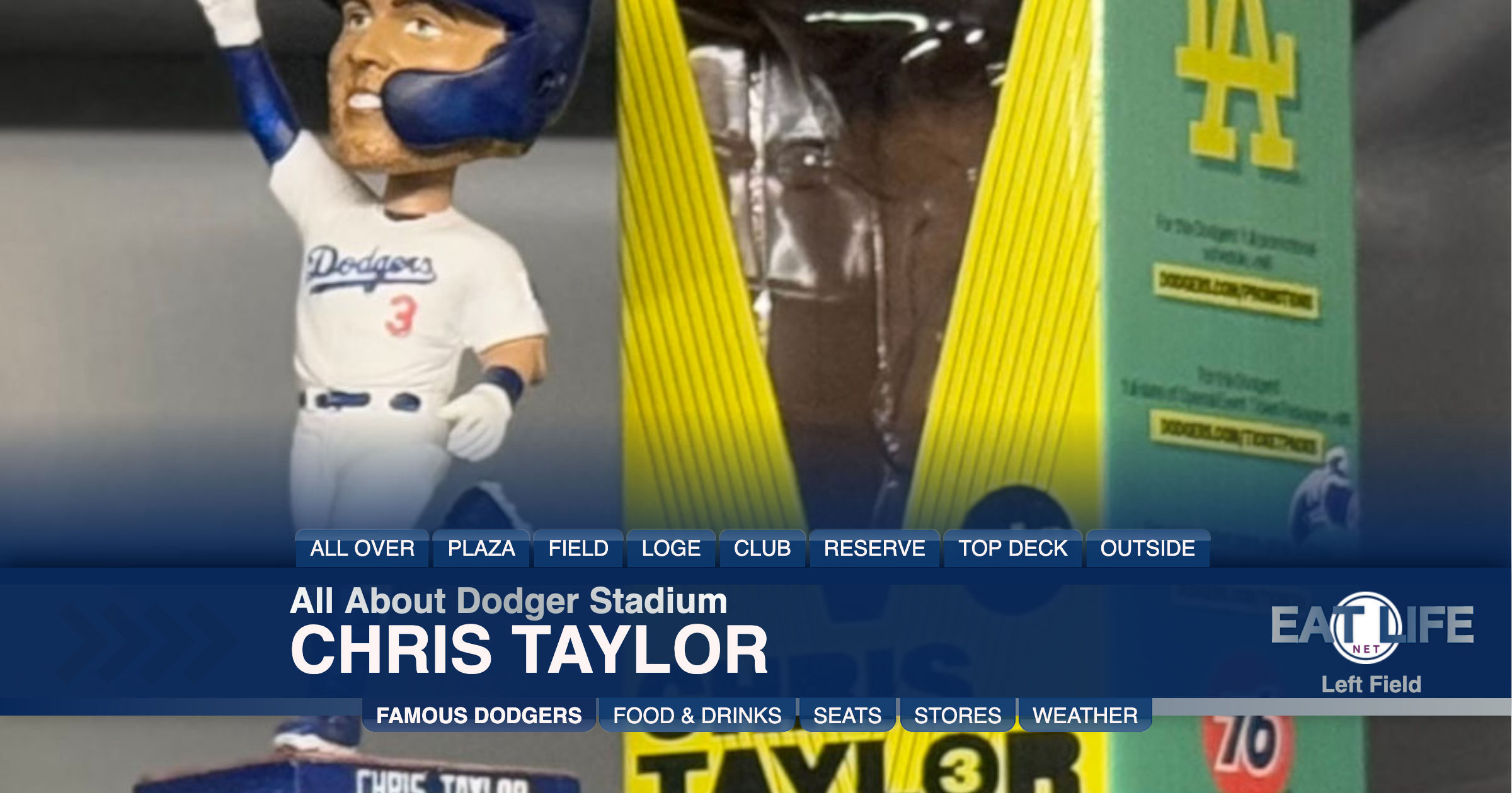 Chris Taylor