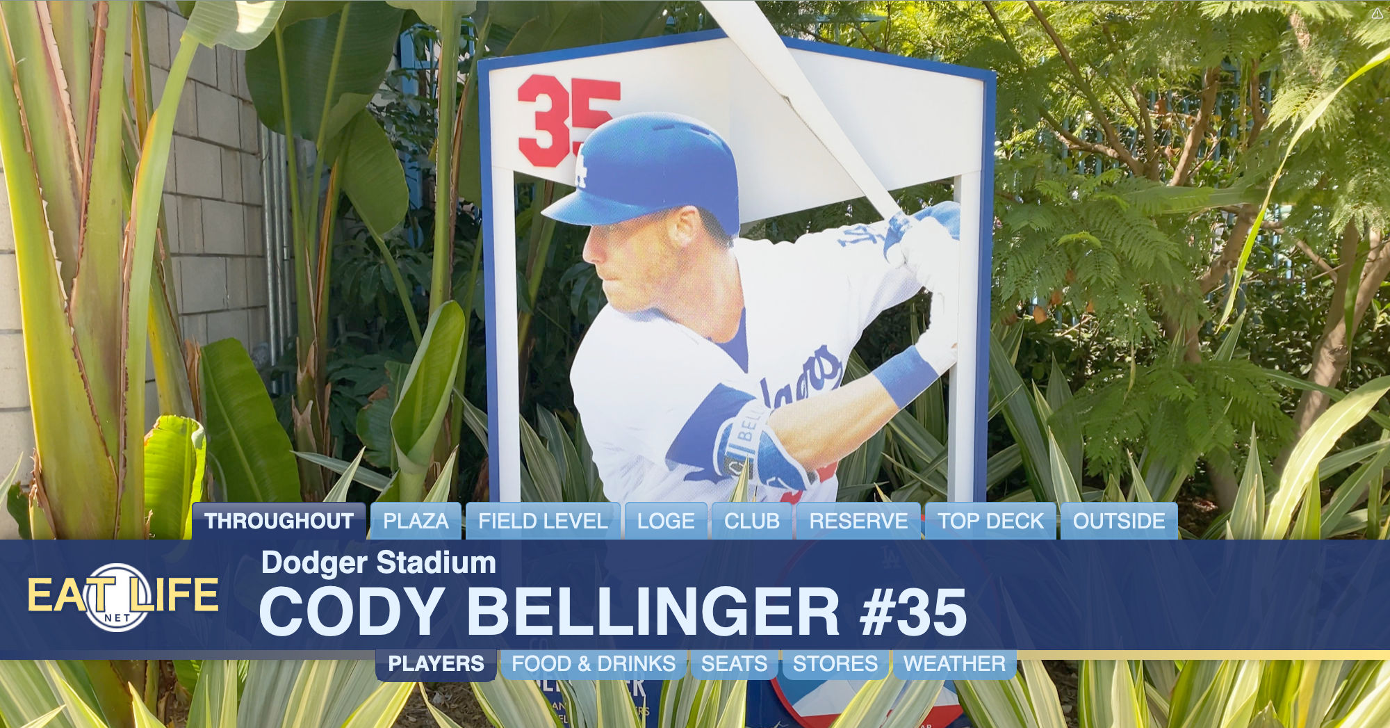 Cody Bellinger #35