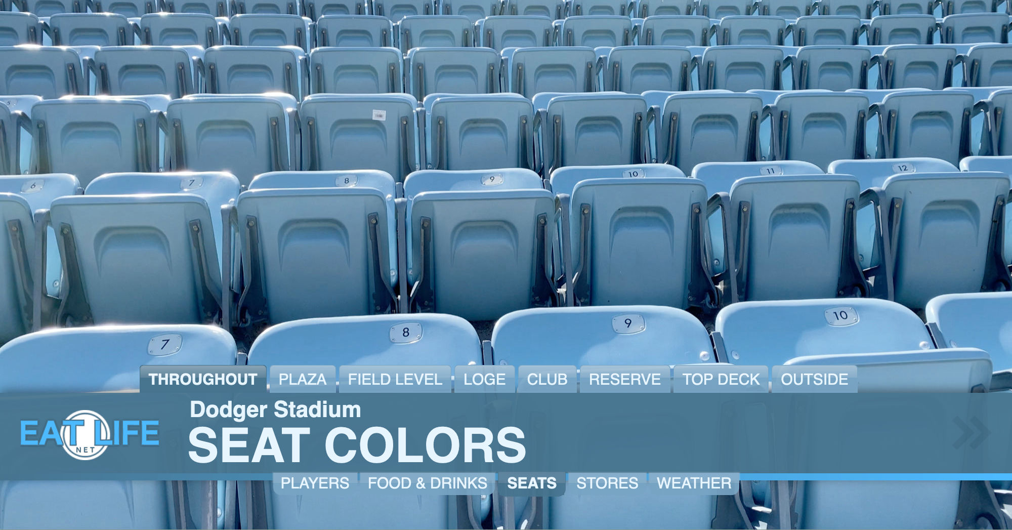 Seat Colors