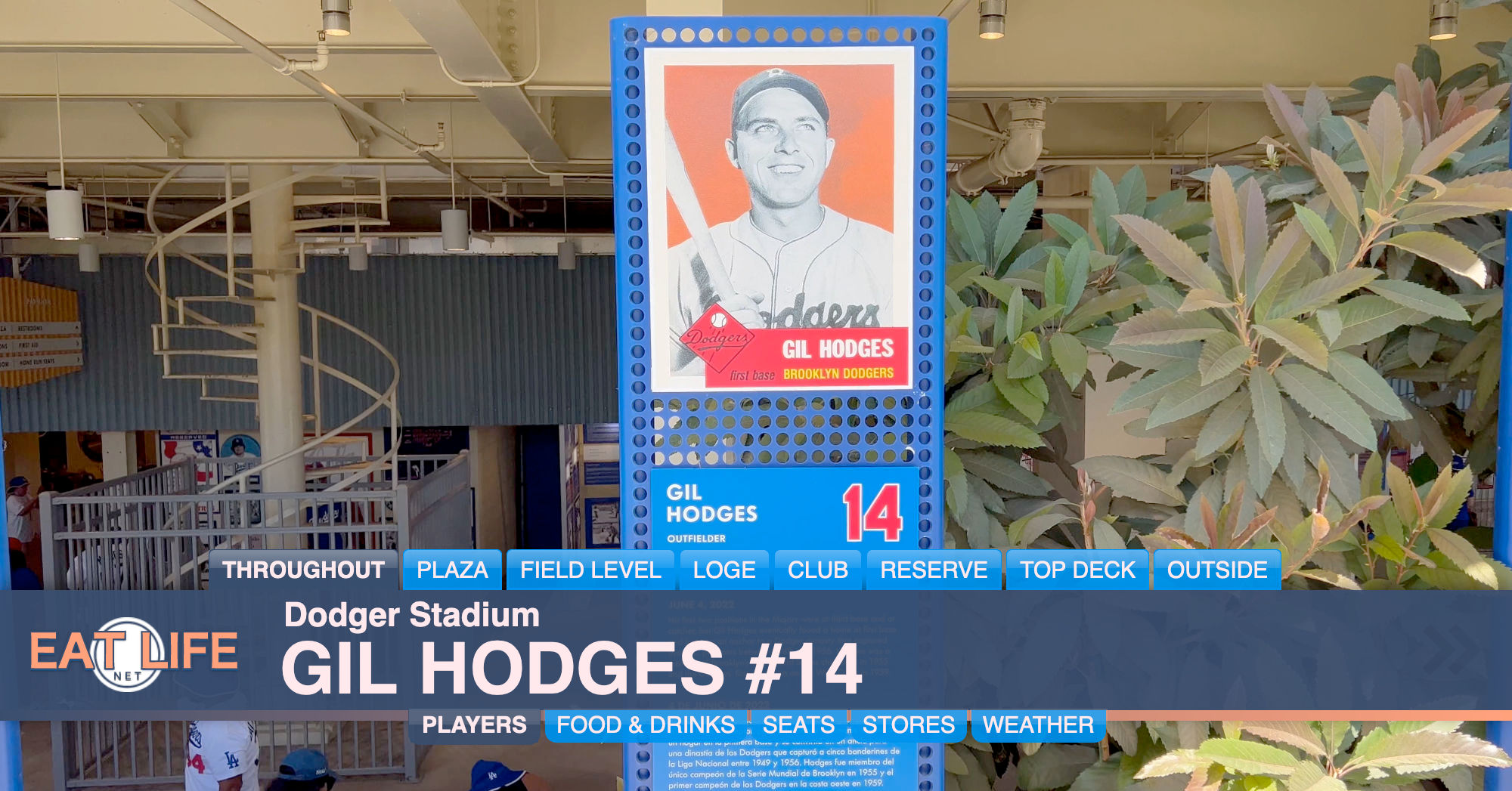 Gil Hodges #14