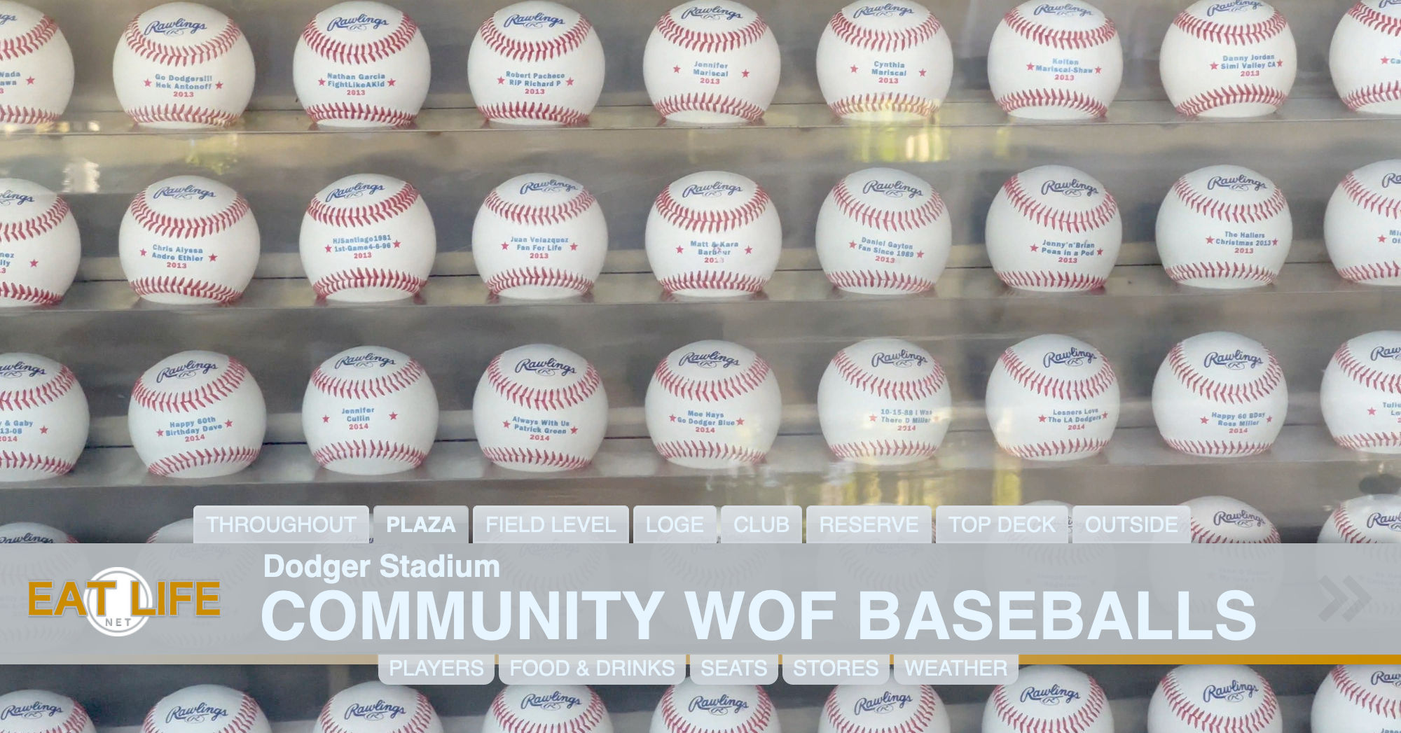 Community Wall of Fame Baseballs