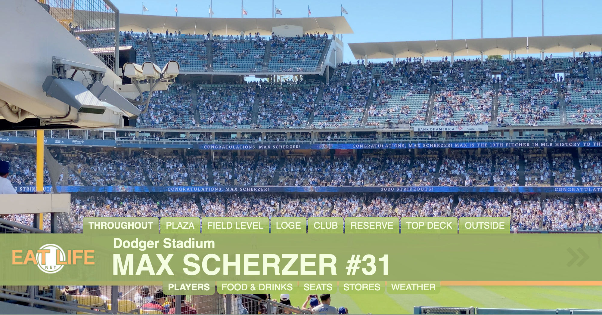 Max Scherzer #31