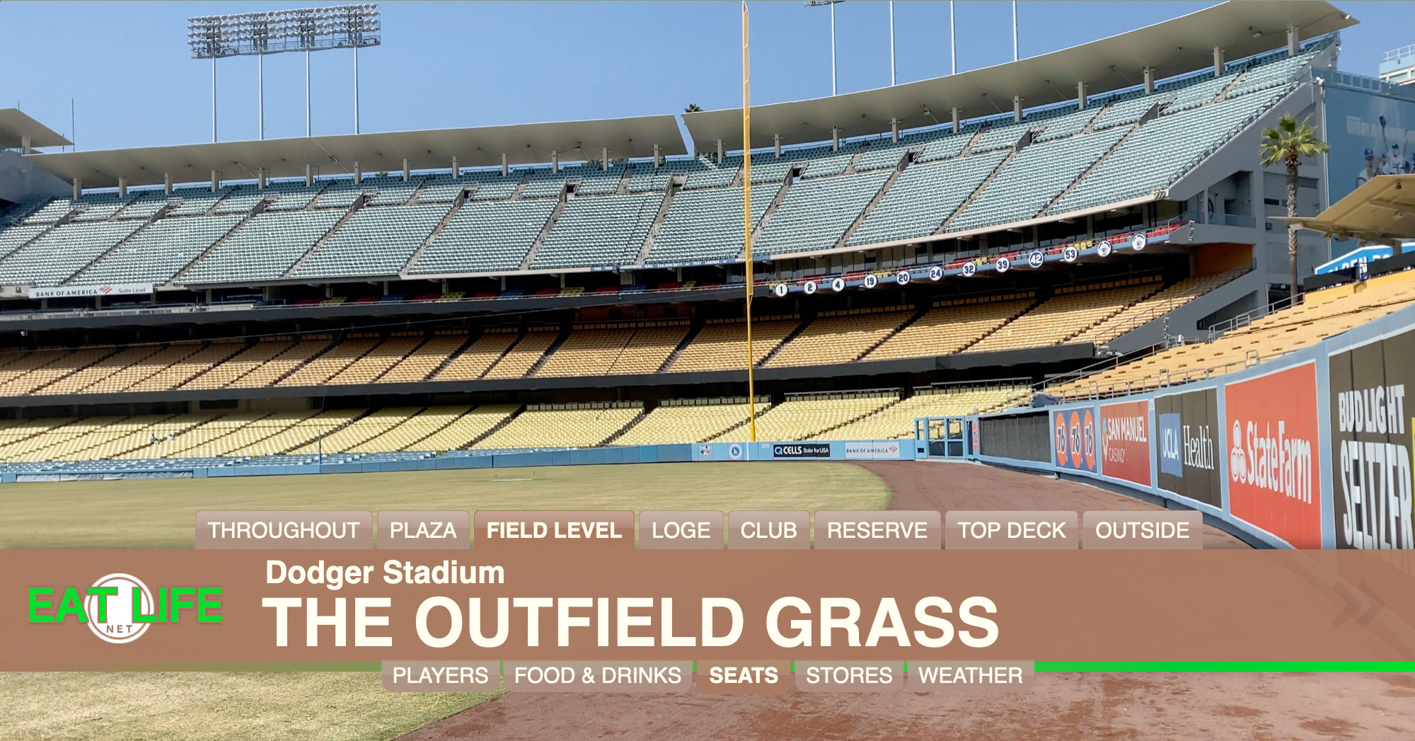 The Outfield Grass