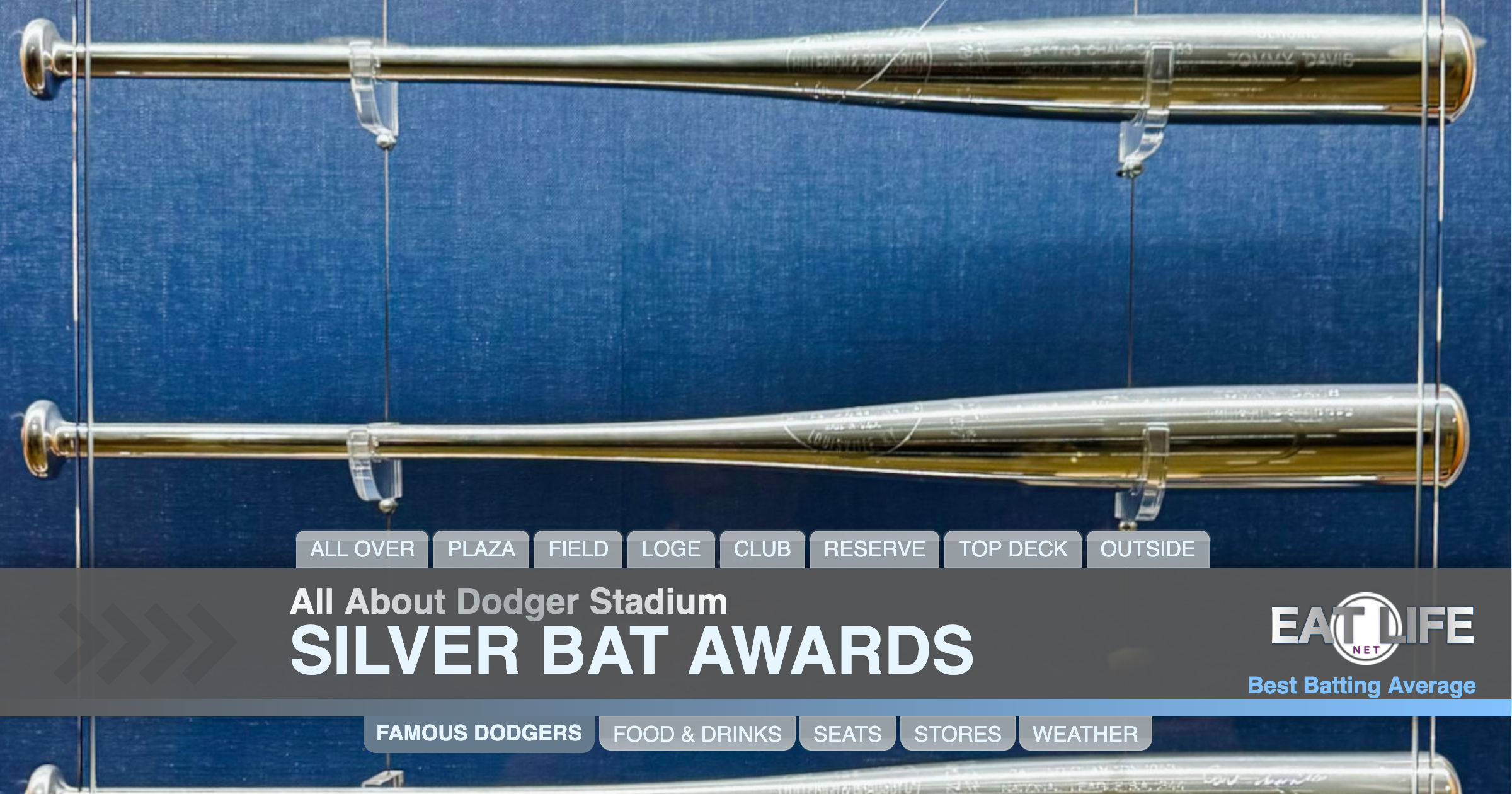 Silver Bat Awards