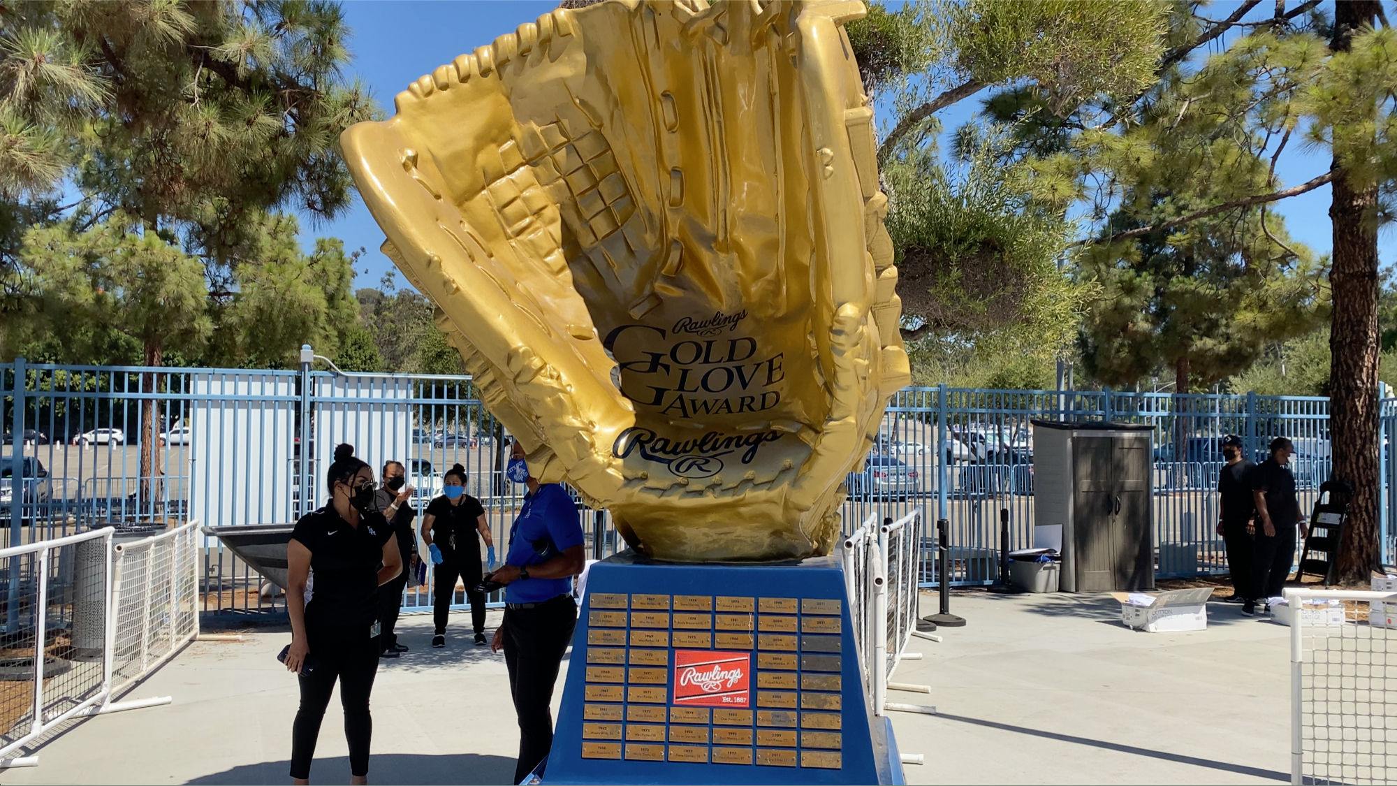 Rawlings Gold Glove Award