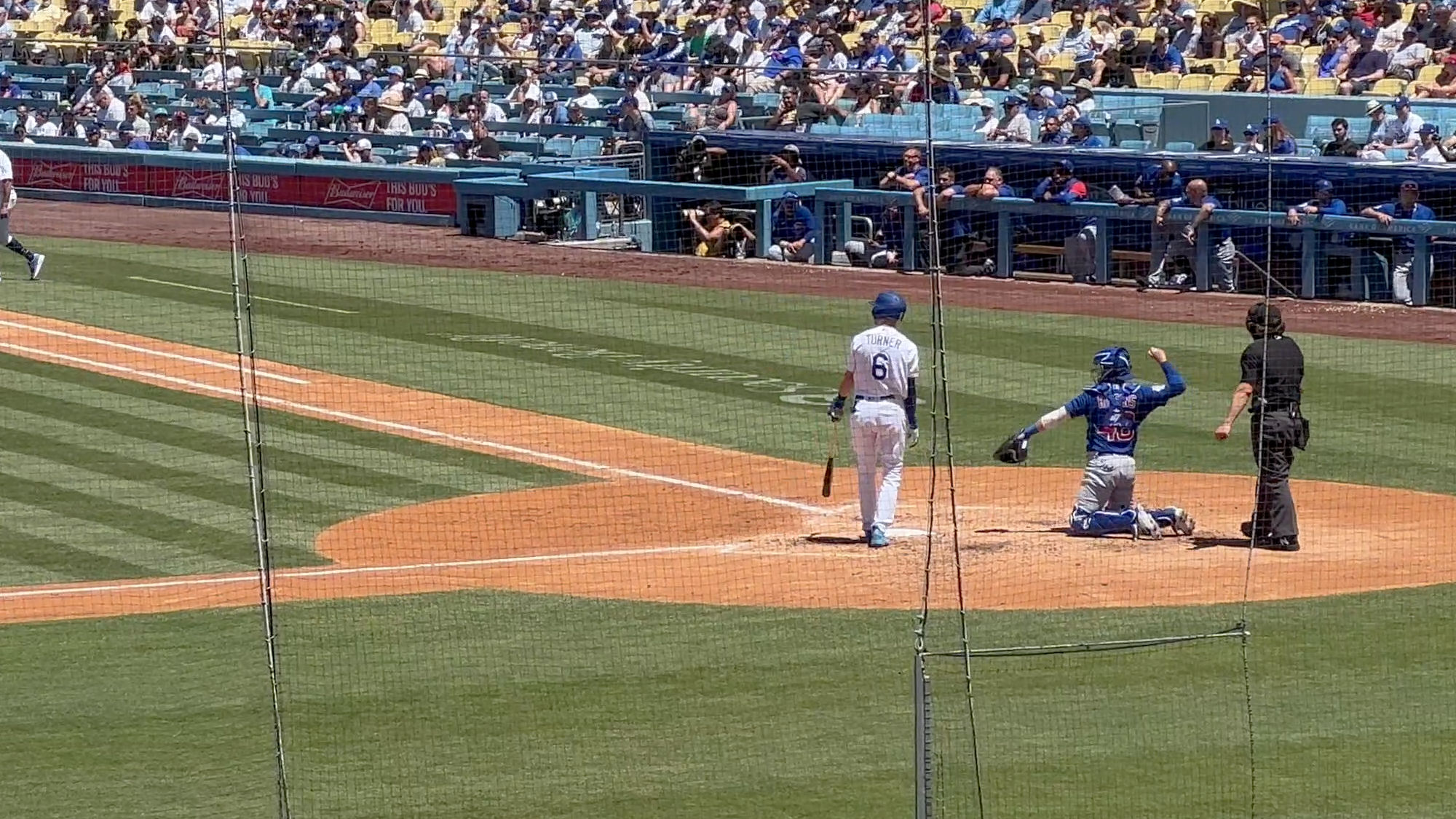 View From Field Box Left Side