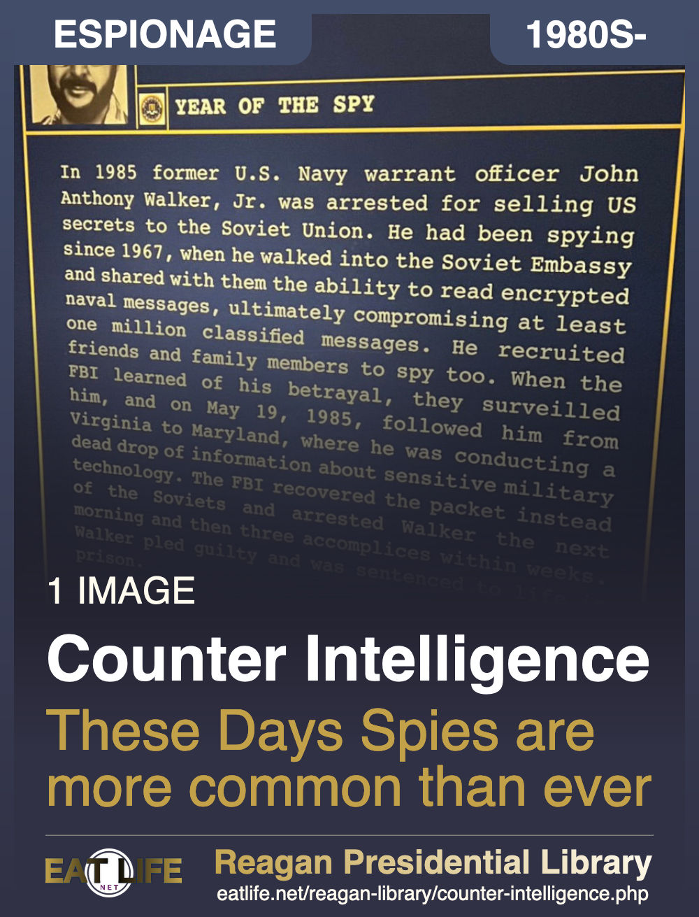 Counter Intelligence