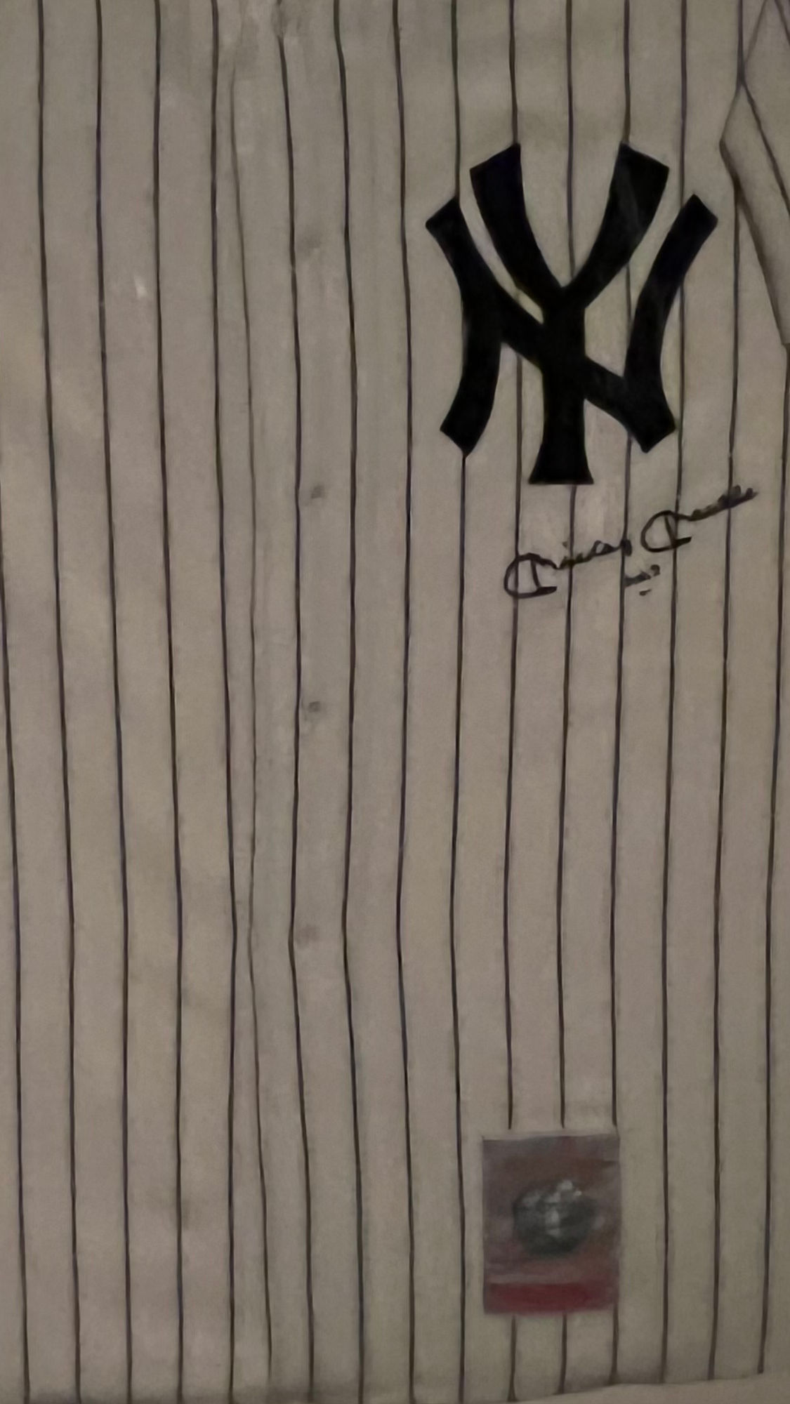 New York Yankees Jersey FBI New York Yankees Jersey