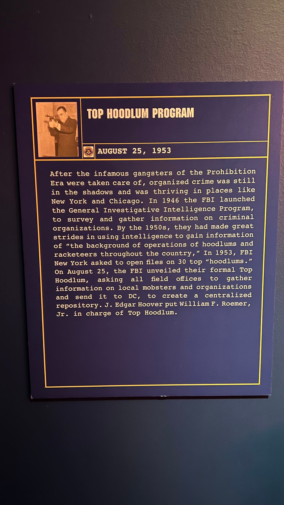 Top Hoodlum Program FBI Top Hoodlum Program