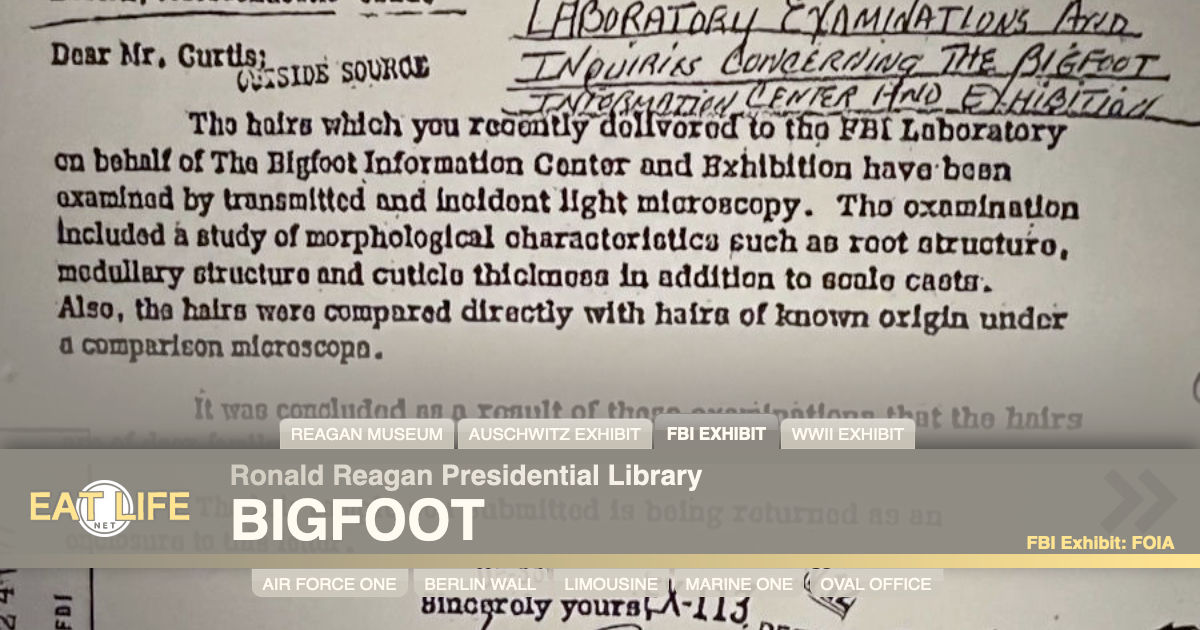 Bigfoot