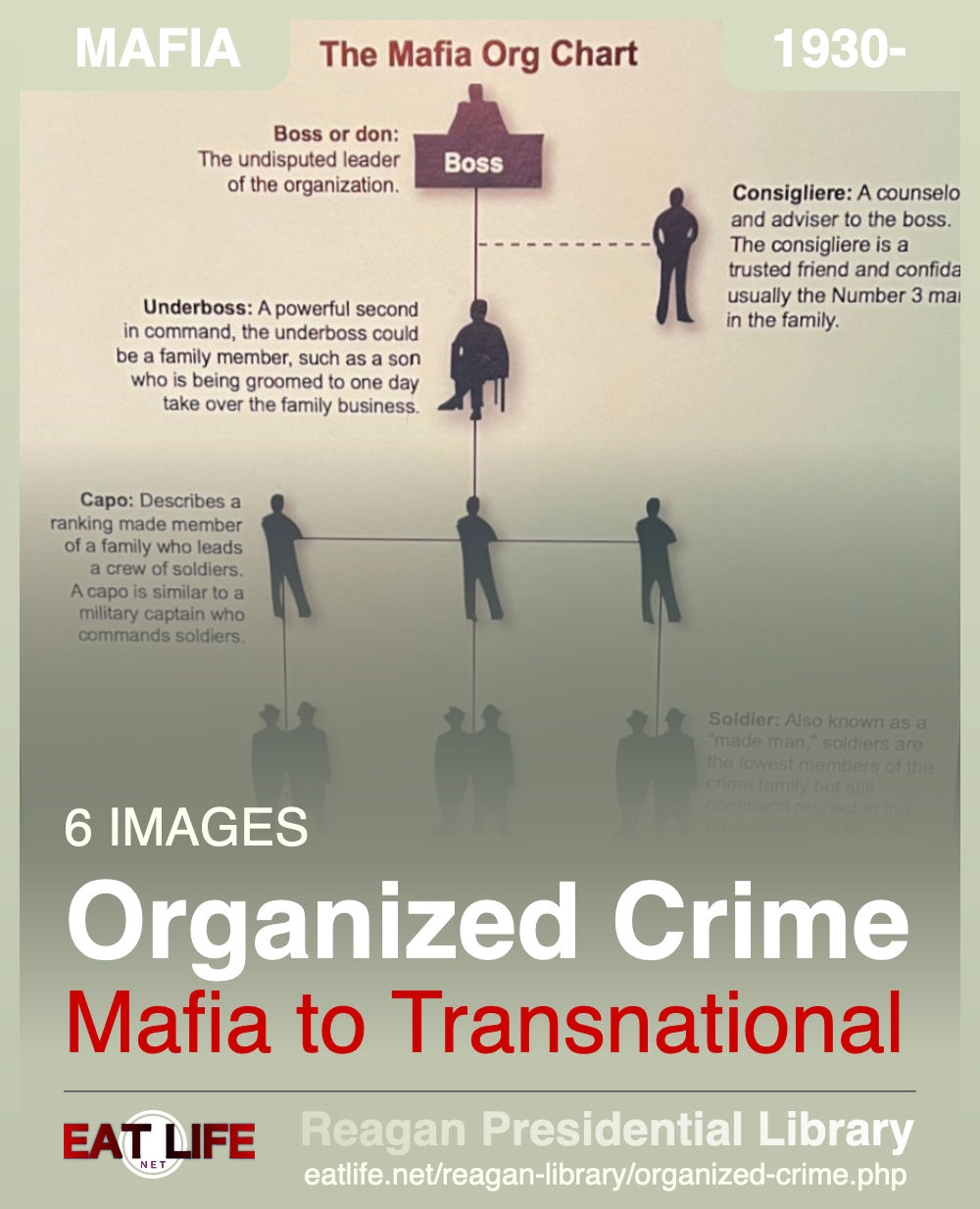 Organized Crime
