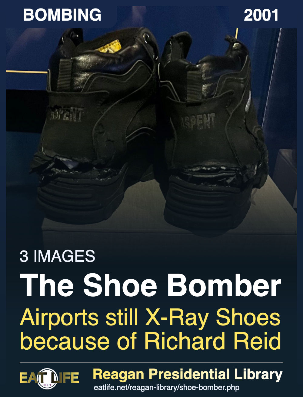 The Shoe Bomber